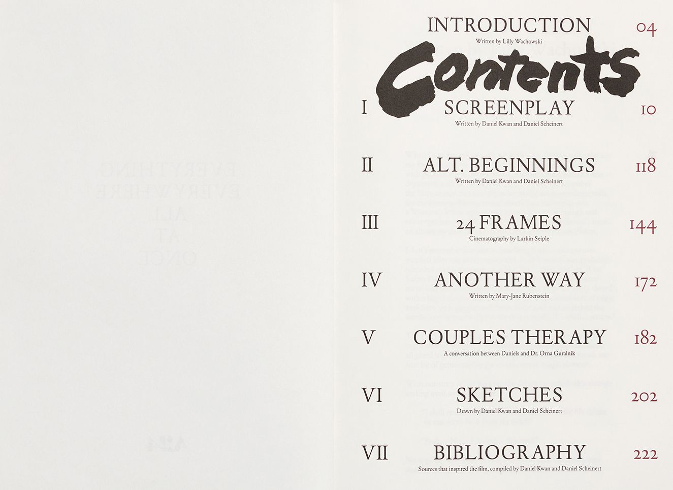 Everything Everywhere All At Once Screenplay Book