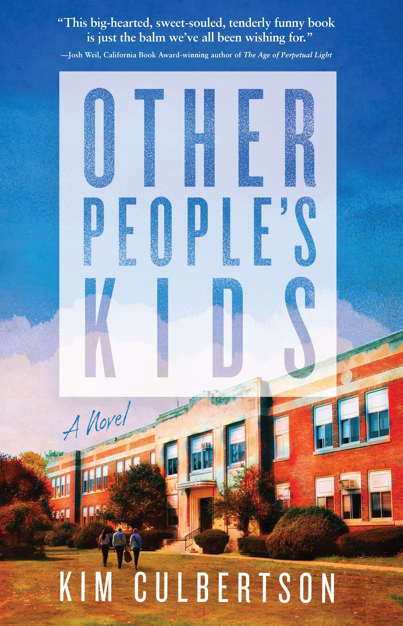 Other People's Kids: A Novel