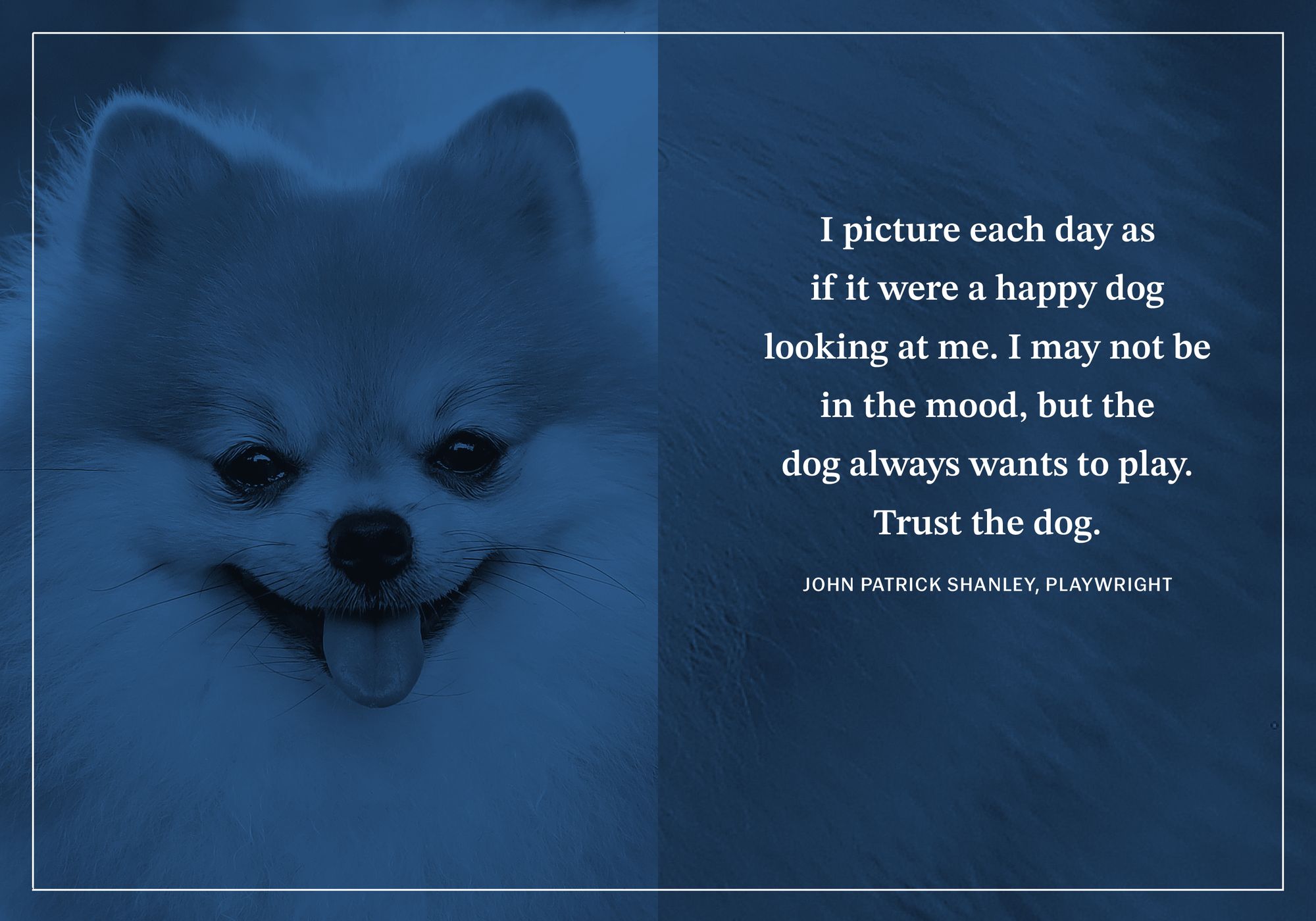 Faithful Paws: 100 Devotions Inspired by Dogs