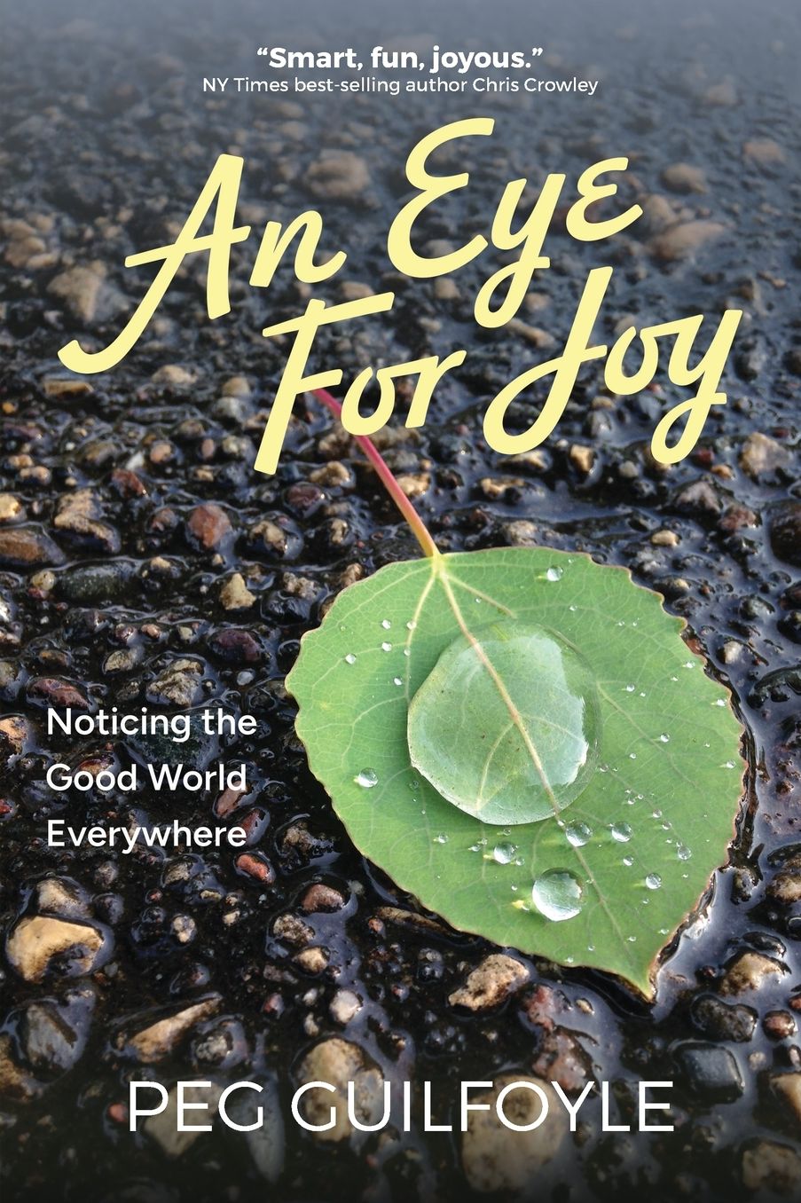 An Eye For Joy: Noticing the Good World Everywhere