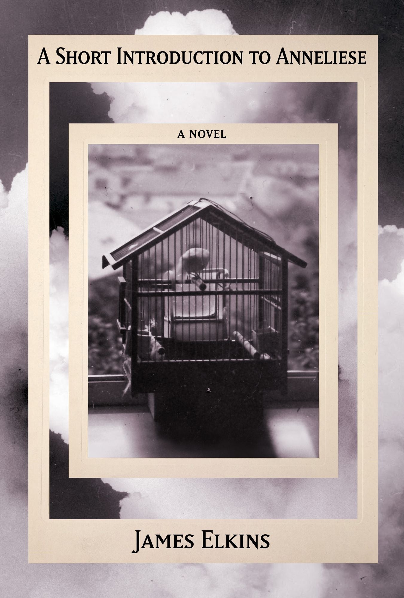 A Short Introduction to Anneliese