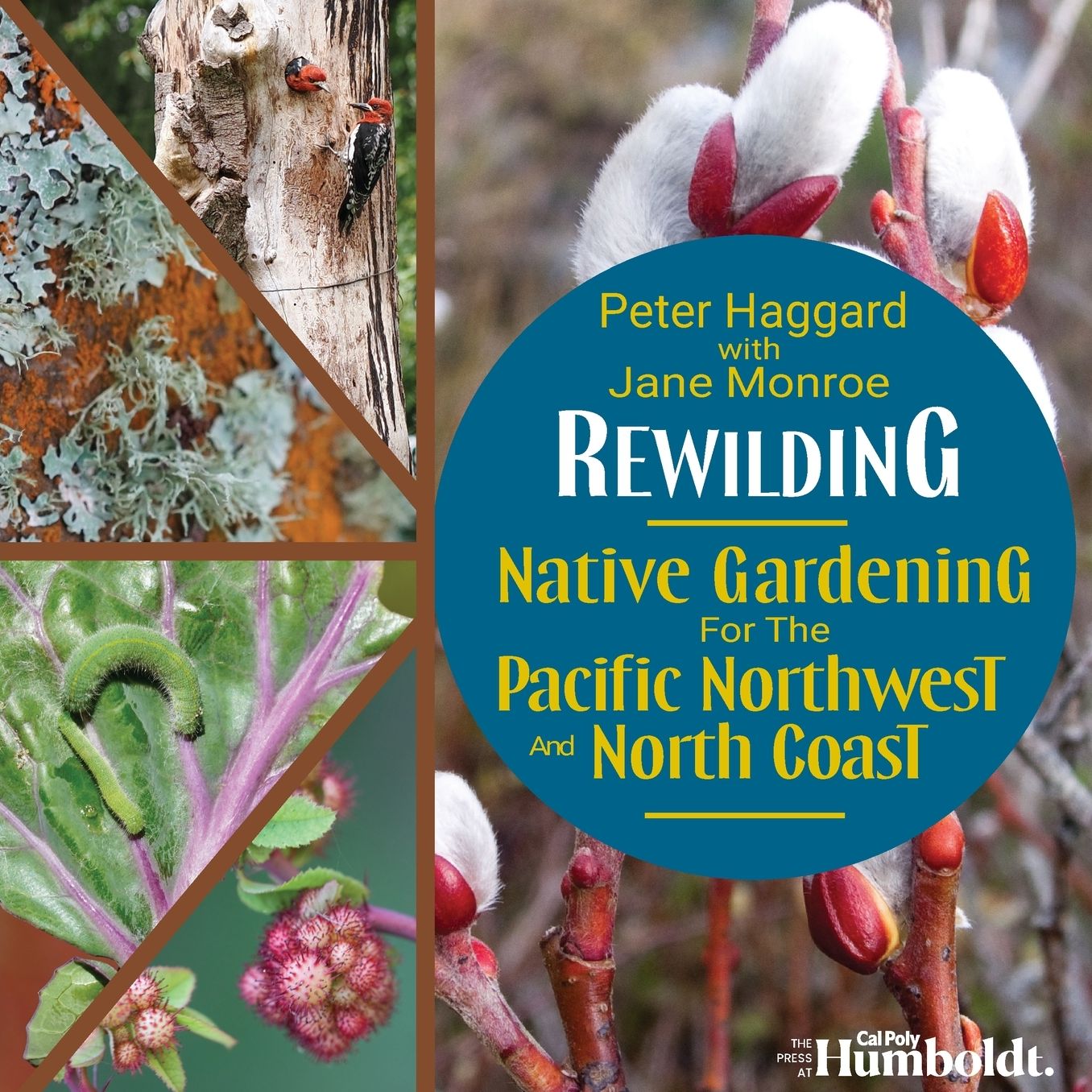 Rewilding: Native Gardening for the Pacific Northwest and North Coast