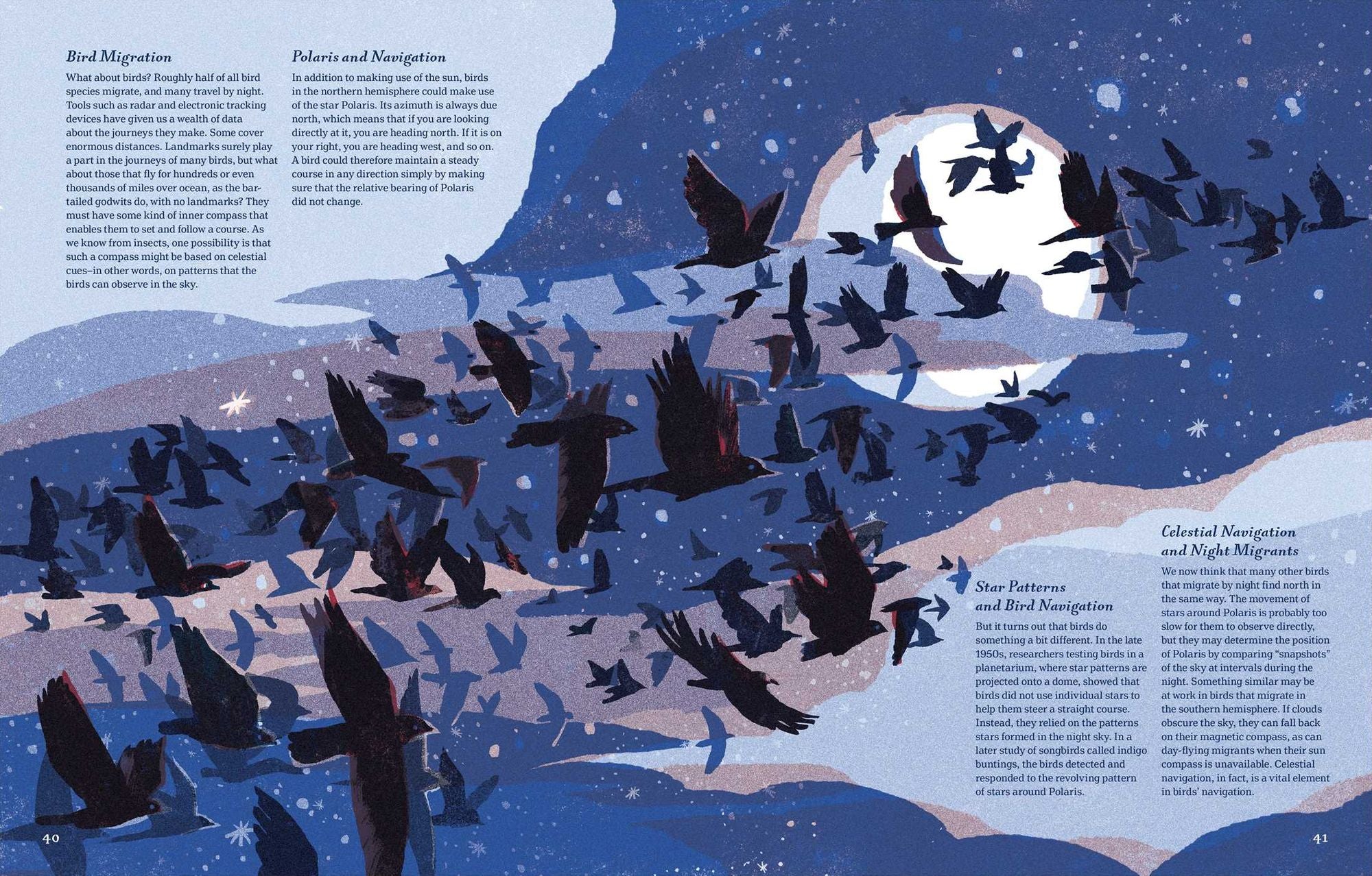 Supernavigators: How Animals Find Their Way (Illustrated Young Readers Edition)