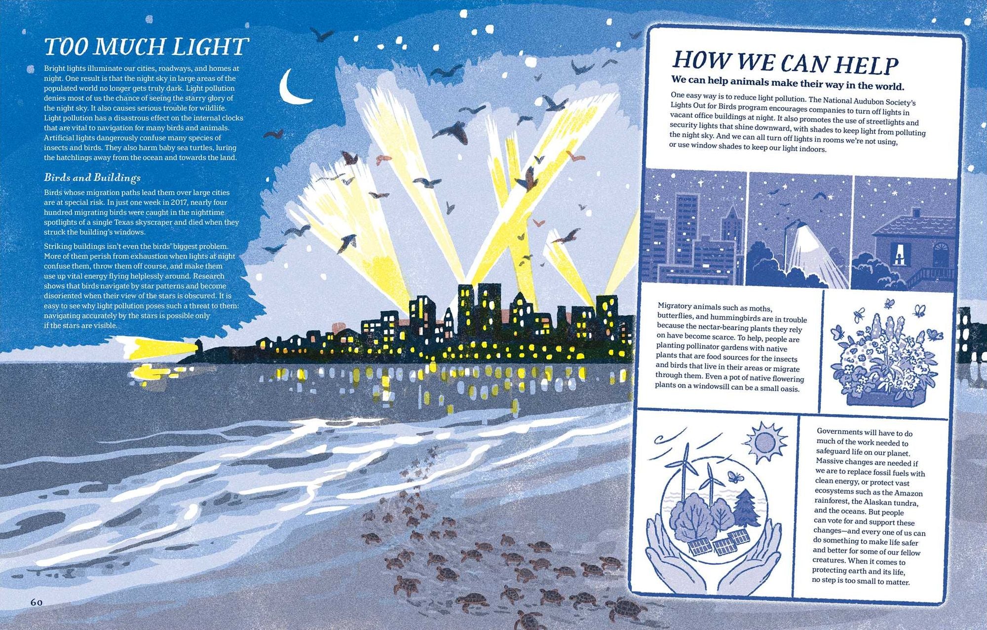 Supernavigators: How Animals Find Their Way (Illustrated Young Readers Edition)