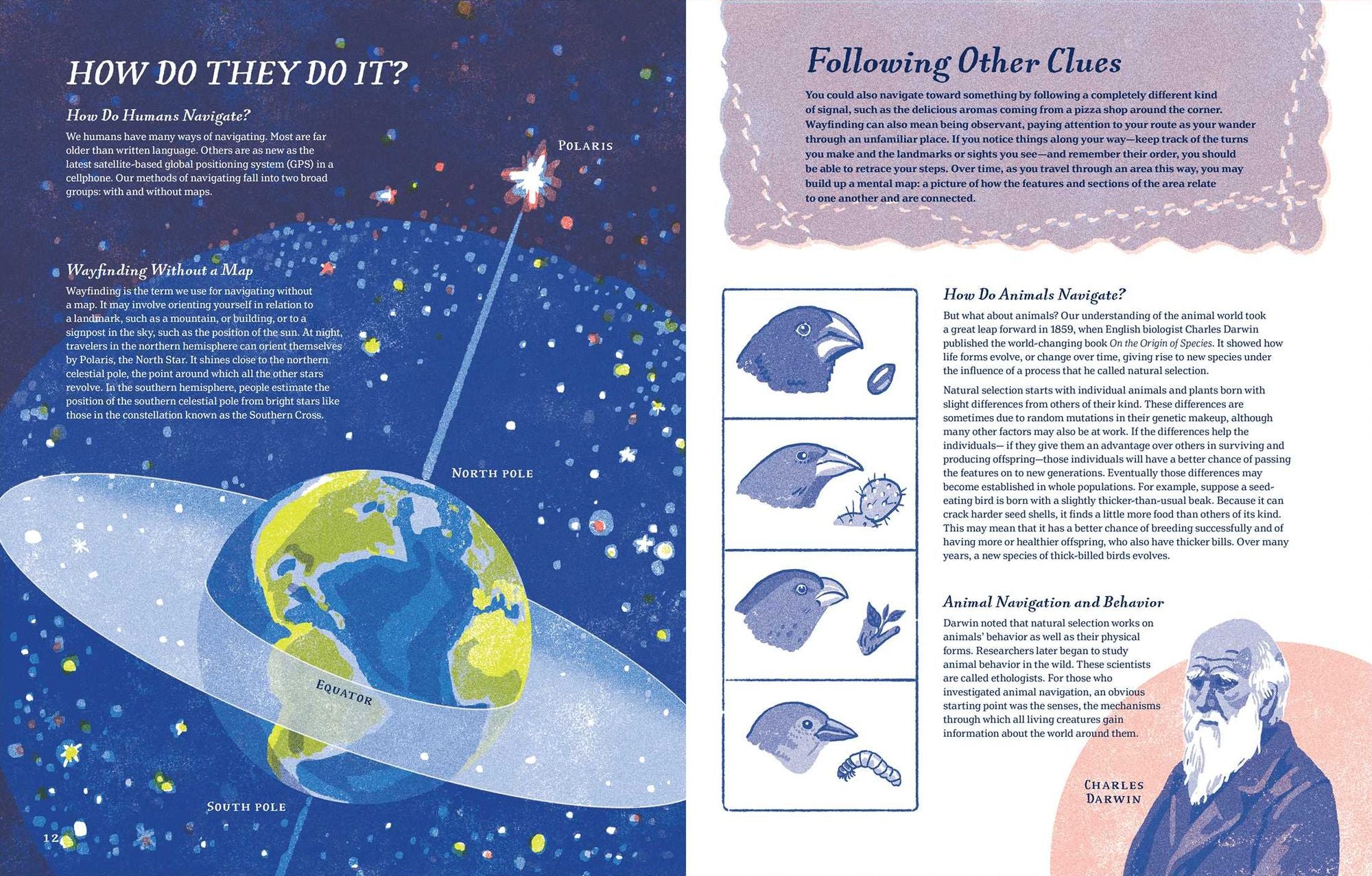 Supernavigators: How Animals Find Their Way (Illustrated Young Readers Edition)