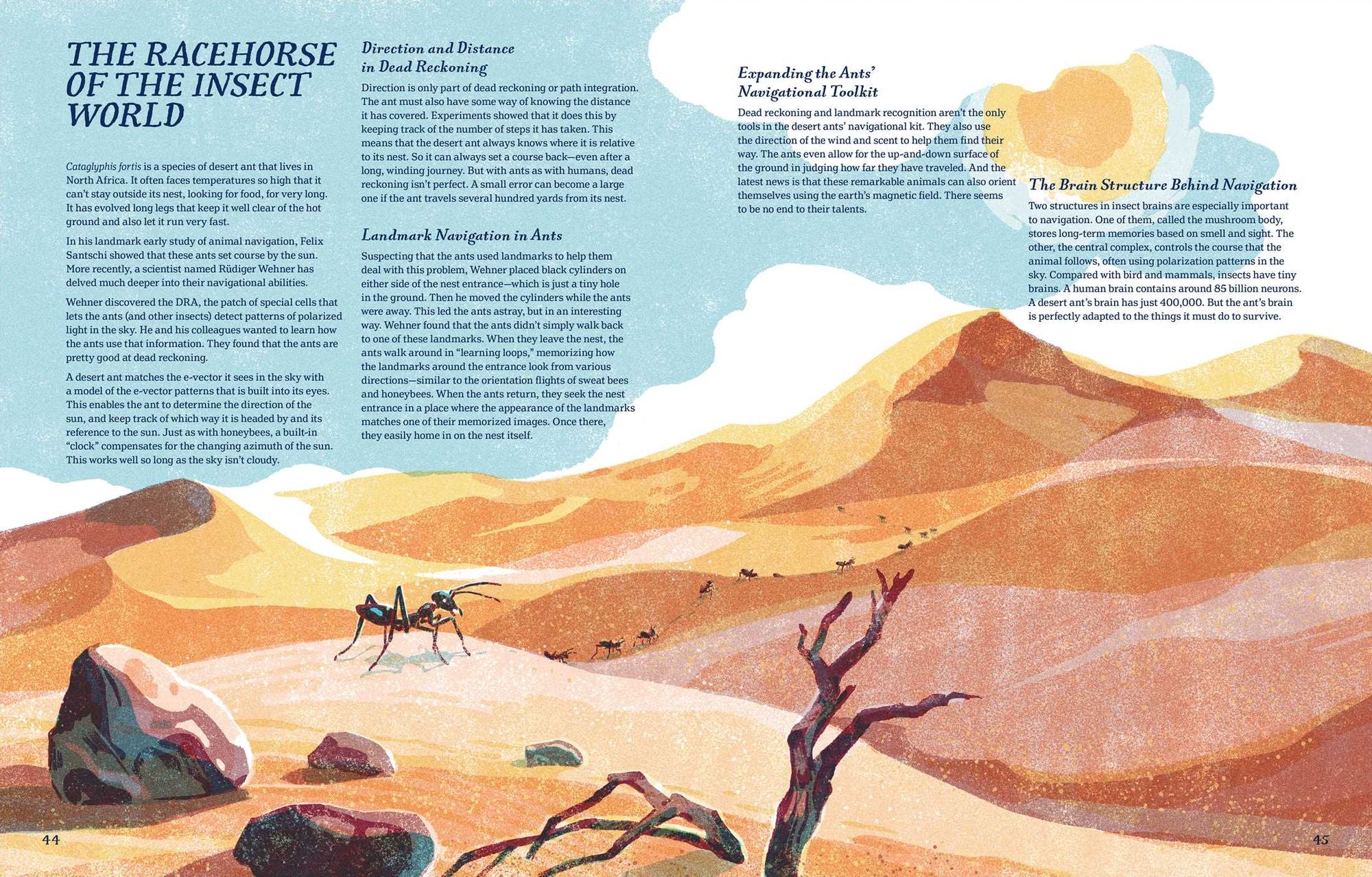 Supernavigators: How Animals Find Their Way (Illustrated Young Readers Edition)