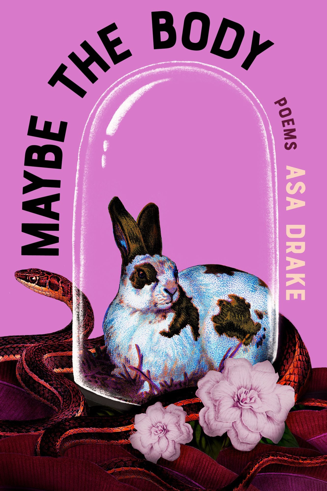 Maybe the Body: Poems