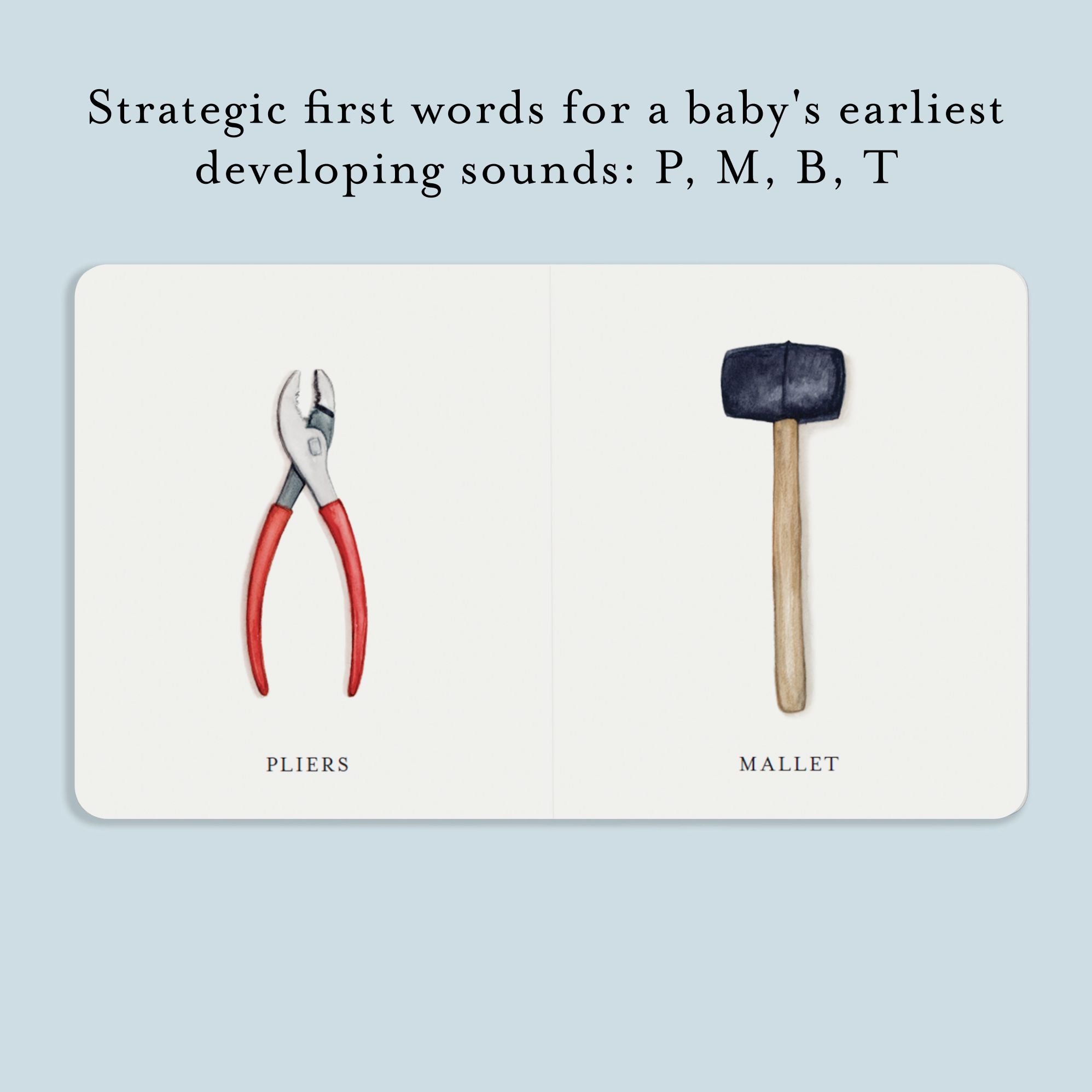 Our Little Library Vol. 3: A Foundational Language Vocabulary Board Book Set for Babies, Including Bugs, Dino saurs, Sports, Space, and Trucks