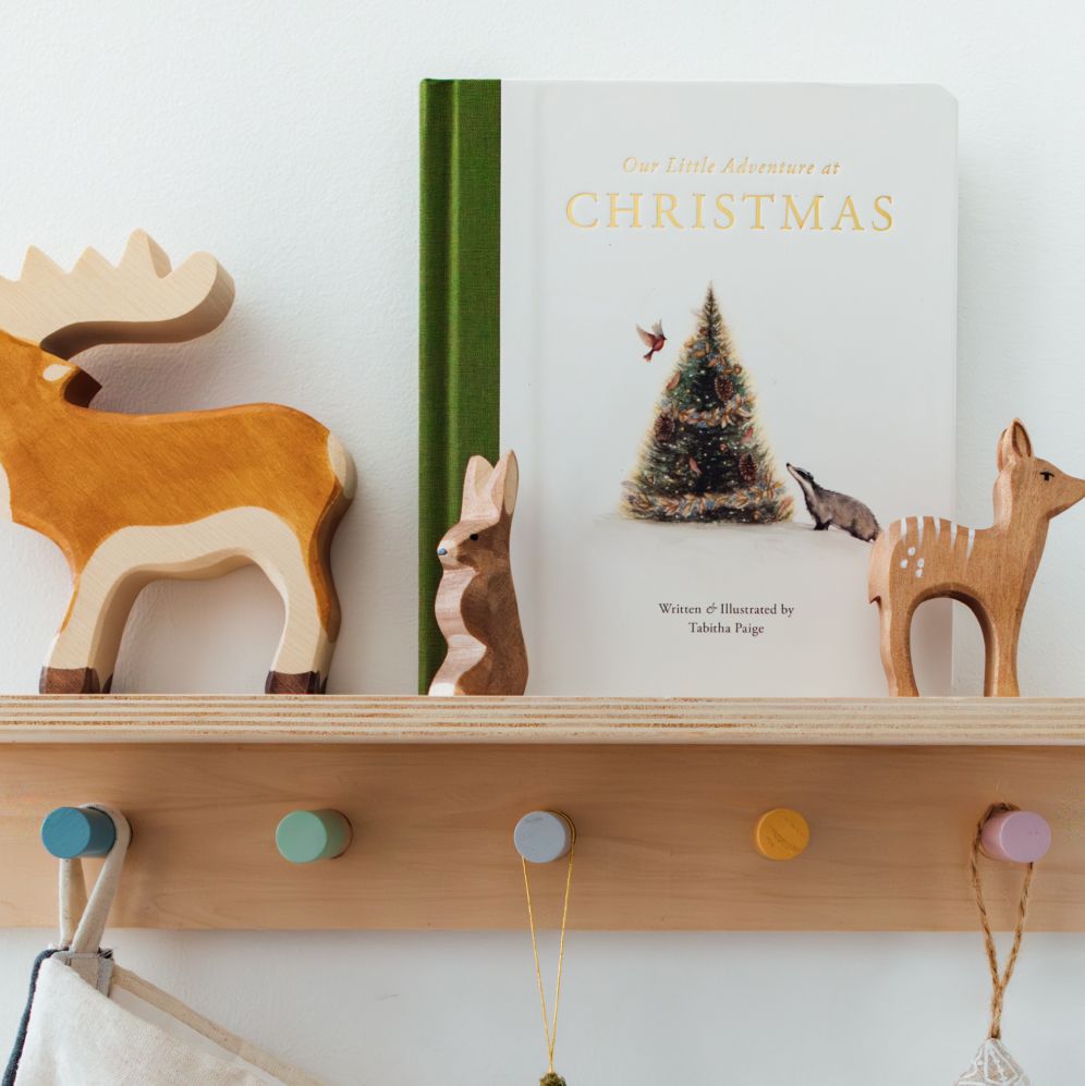 Our Little Adventure at Christmas: Featuring Foundational Language Concepts and Lessons on the Joy of Giving
