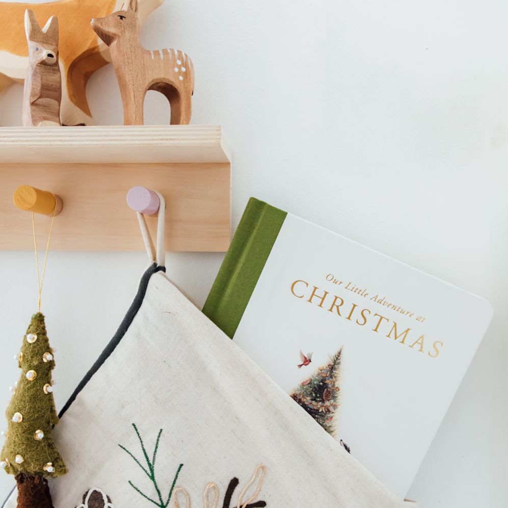 Our Little Adventure at Christmas: Featuring Foundational Language Concepts and Lessons on the Joy of Giving