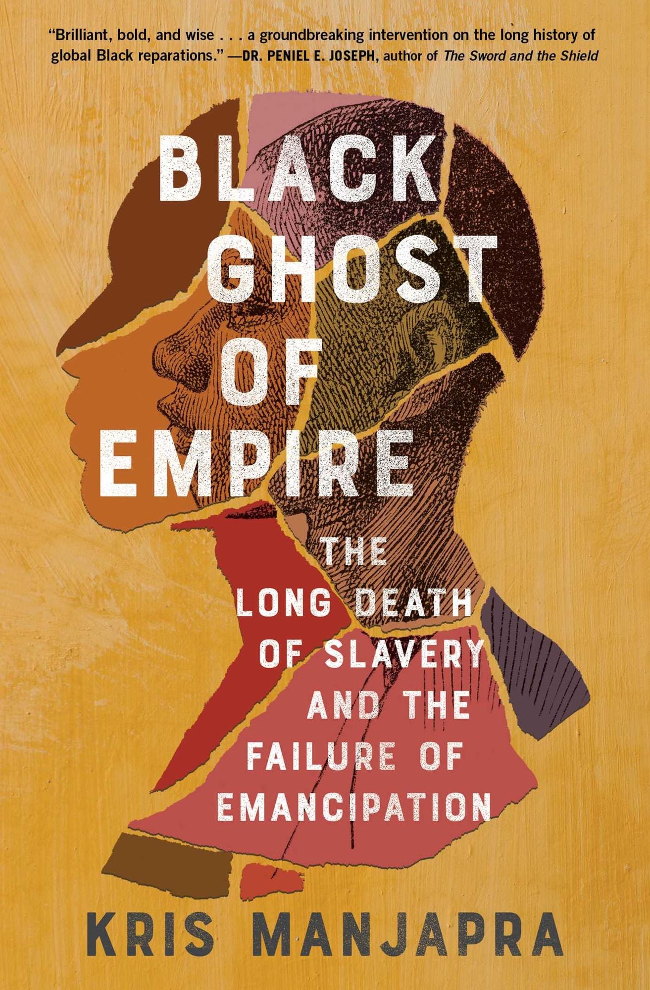 Black Ghost of Empire: The Long Death of Slavery and the Failure of Emancipation