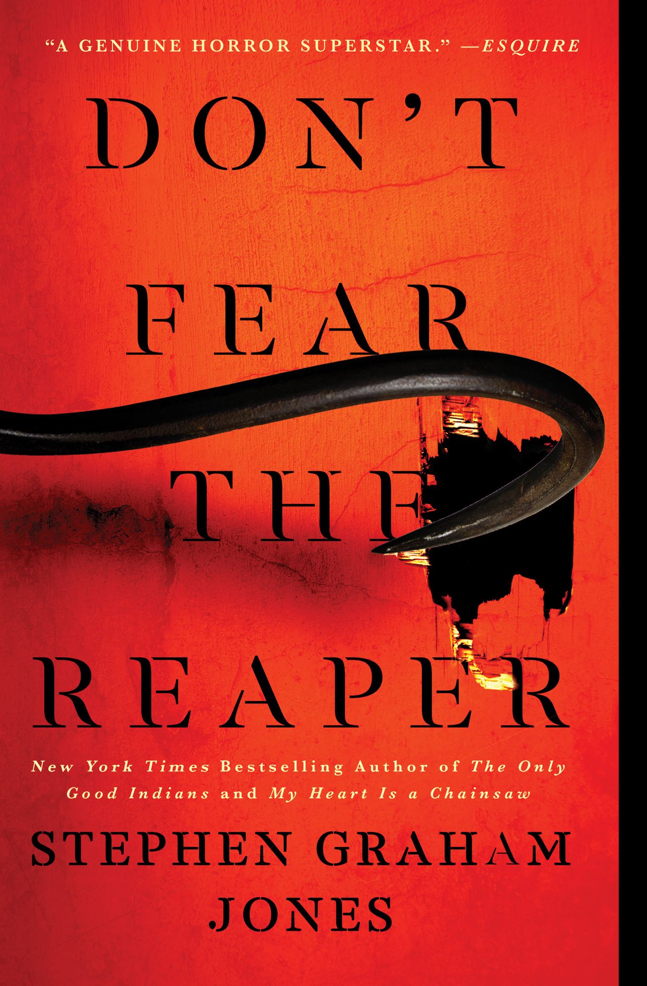 Don't Fear the Reaper (Indian Lake Trilogy #2)