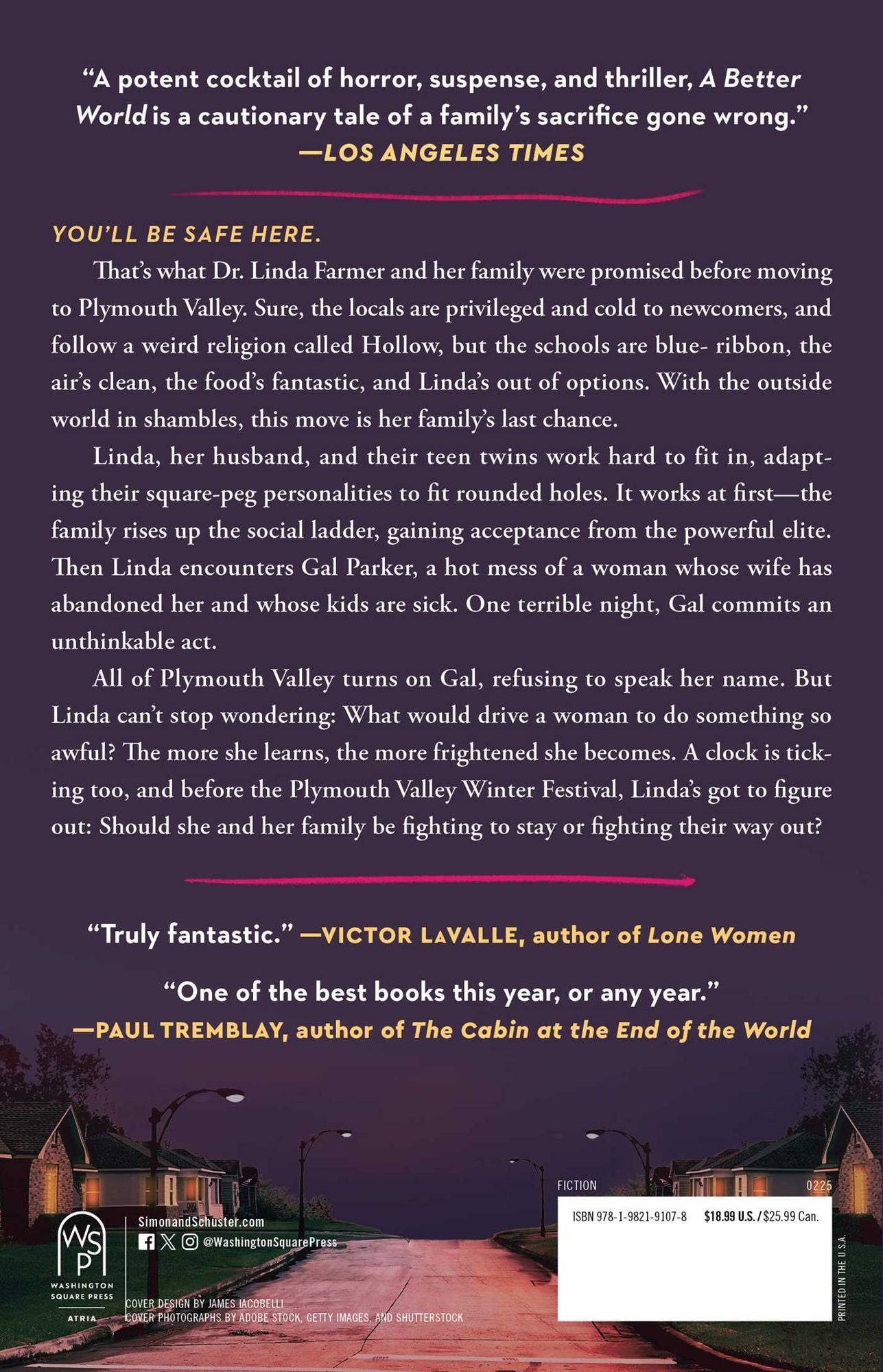A Better World: A Novel