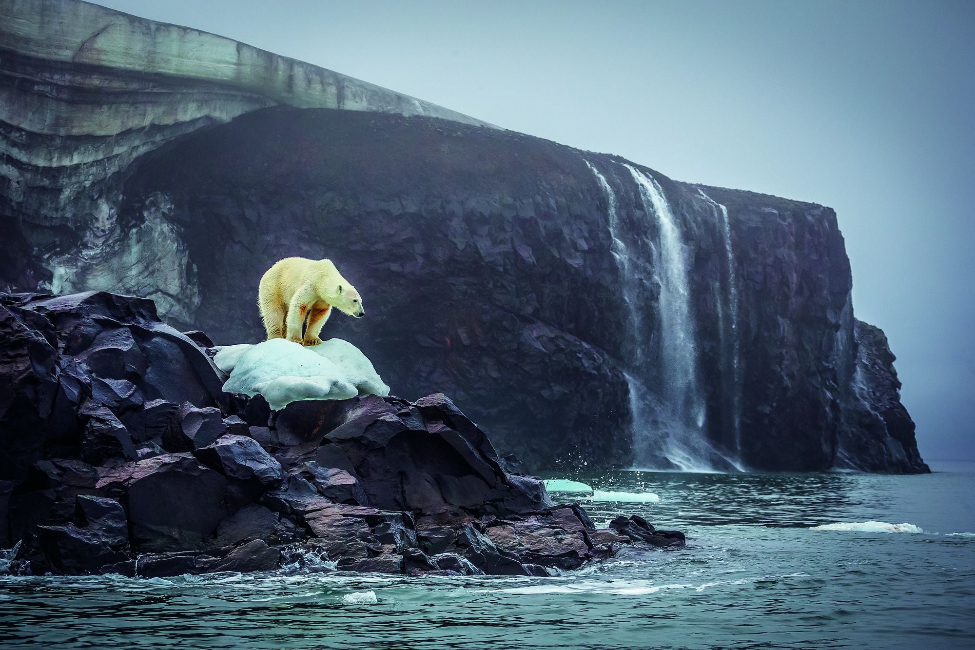 Bi-Polar: Photographs from an Unquiet Mind