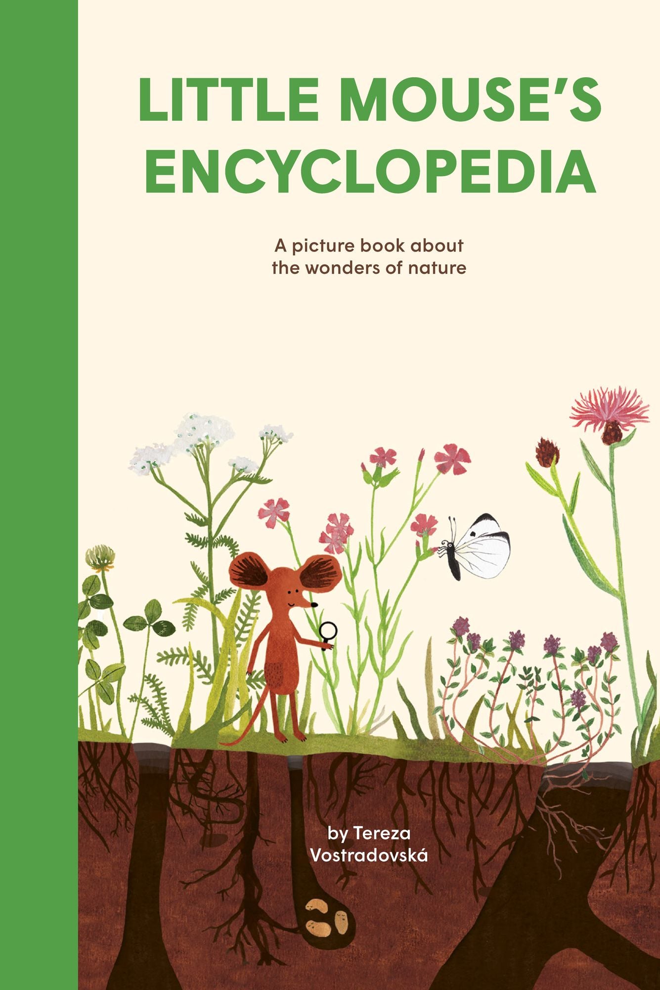 Little Mouse's Encyclopedia: A Picture Book about the Wonders of Nature