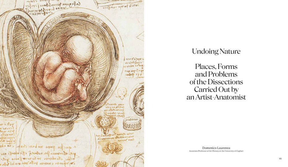 Leonardo da Vinci and Anatomy: The Mechanics of Life