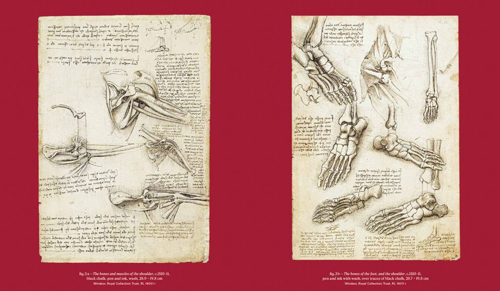 Leonardo da Vinci and Anatomy: The Mechanics of Life