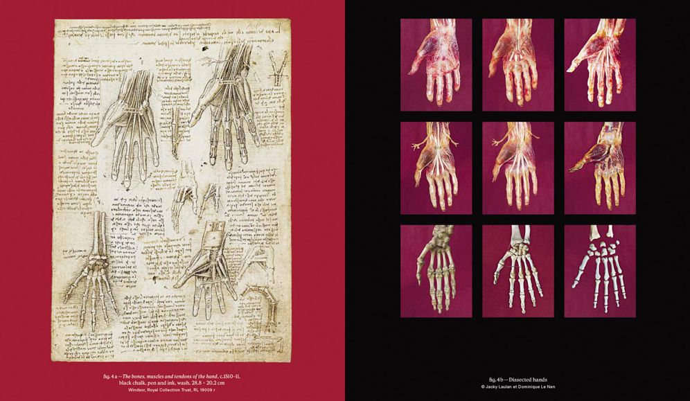 Leonardo da Vinci and Anatomy: The Mechanics of Life