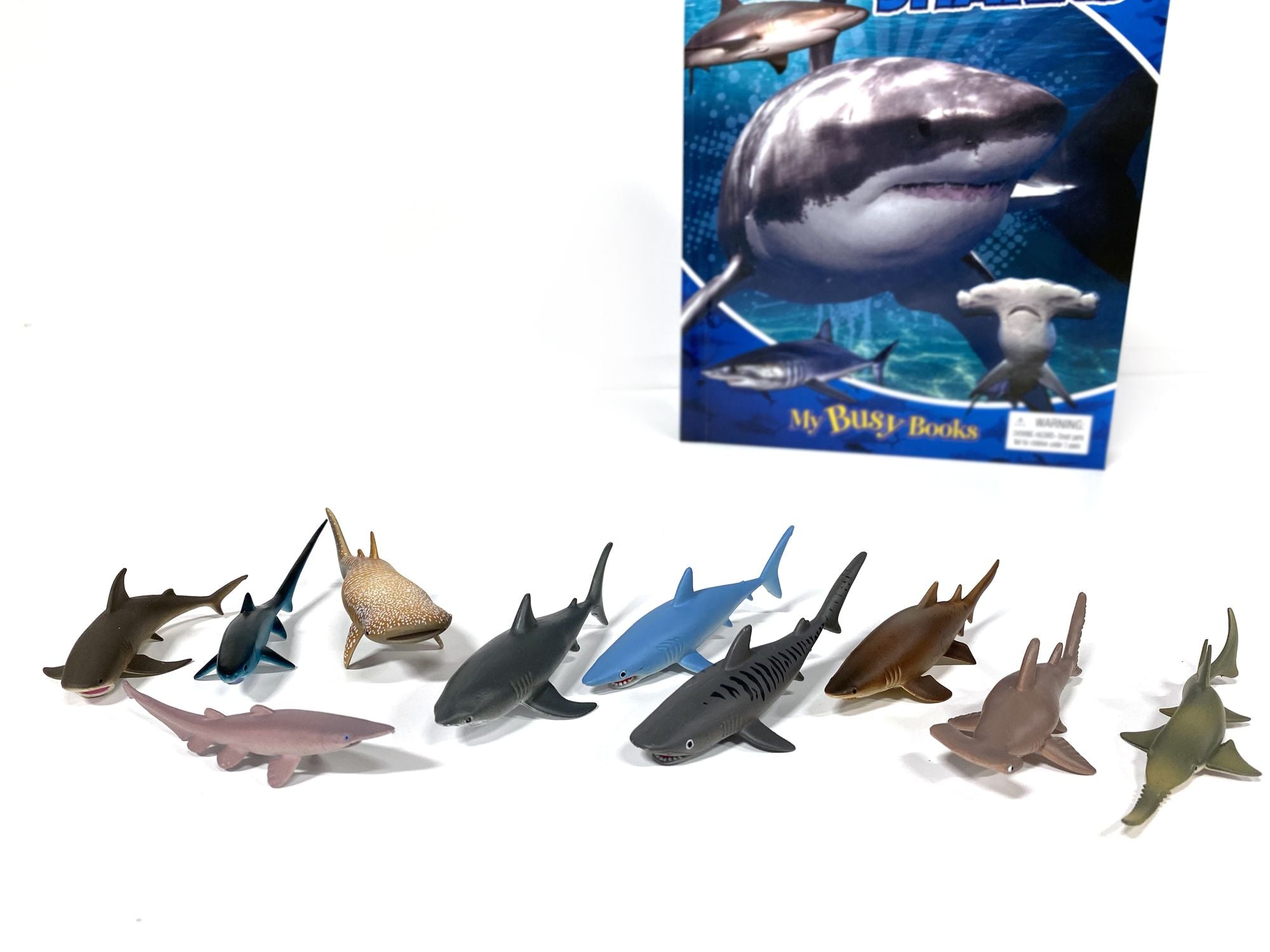 SHARKS MY BUSY BOOKS