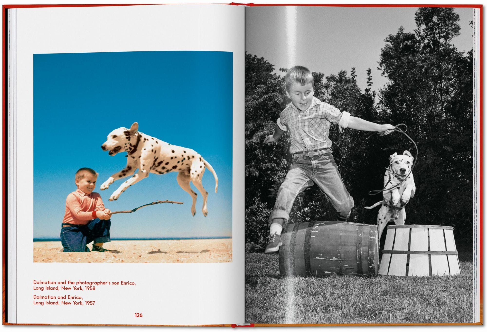 Walter Chandoha. Dogs. Photographs 1941-1991