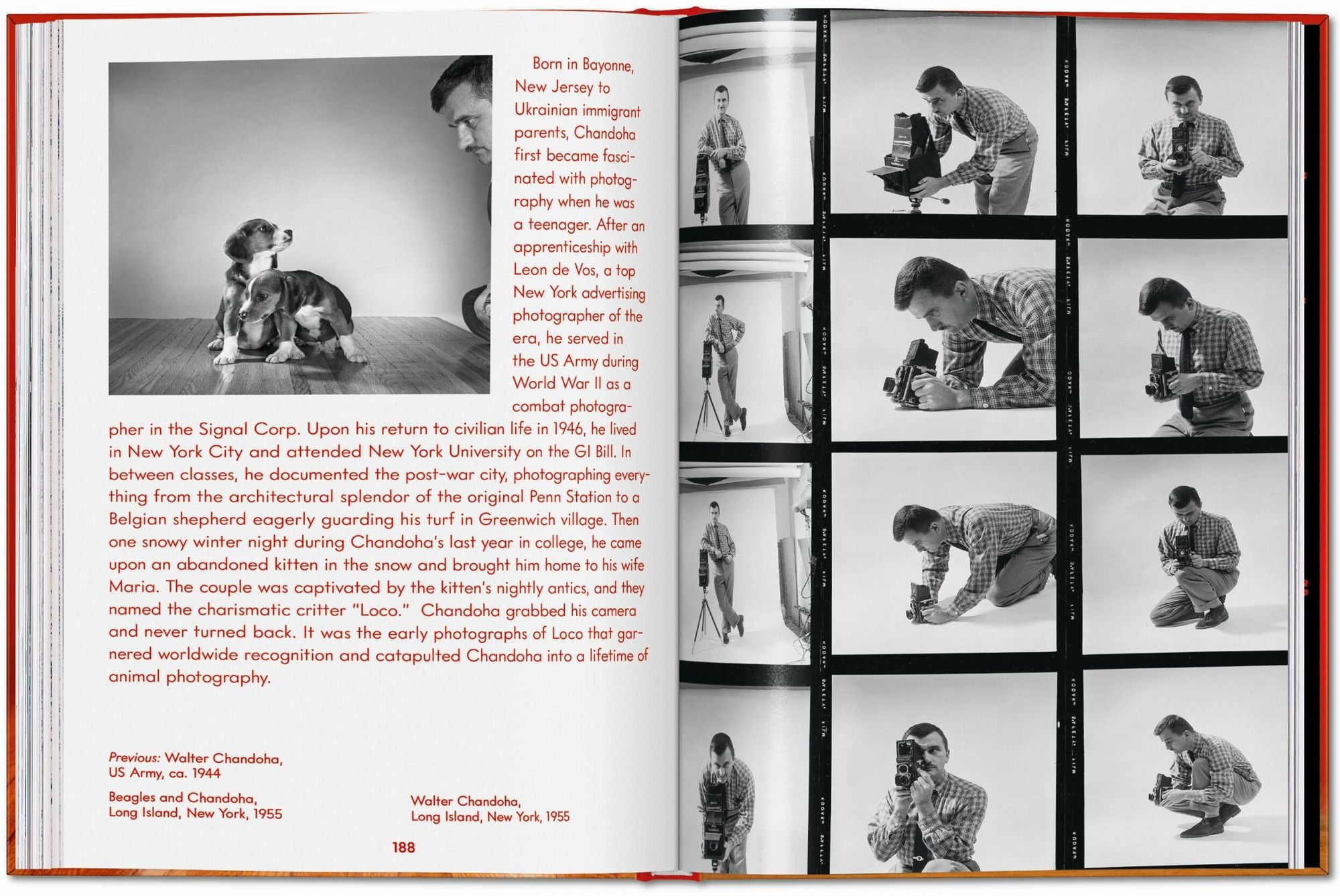 Walter Chandoha. Dogs. Photographs 1941-1991