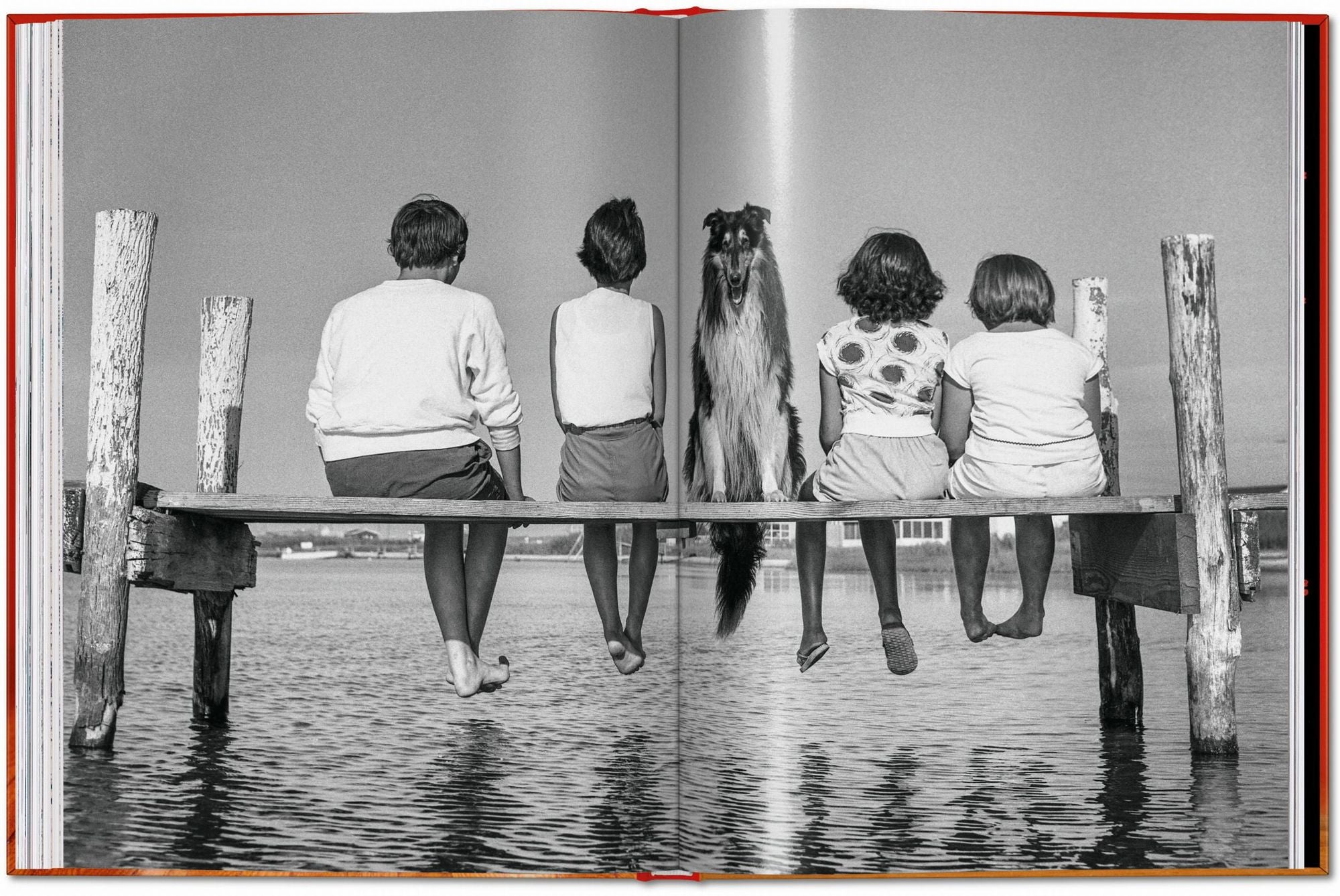 Walter Chandoha. Dogs. Photographs 1941-1991