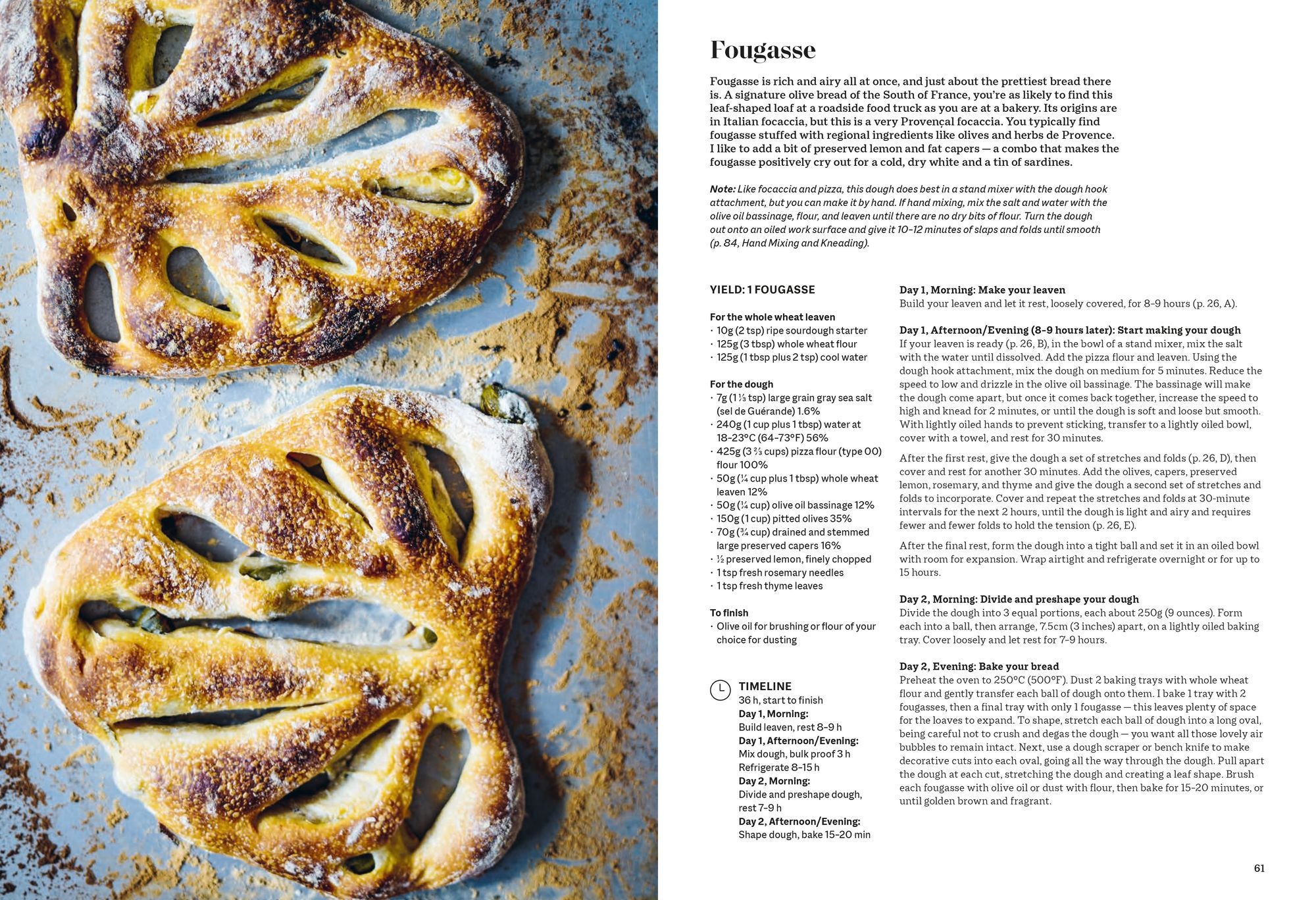 New European Baking: 99 Recipes for Breads, Brioches and Pastries