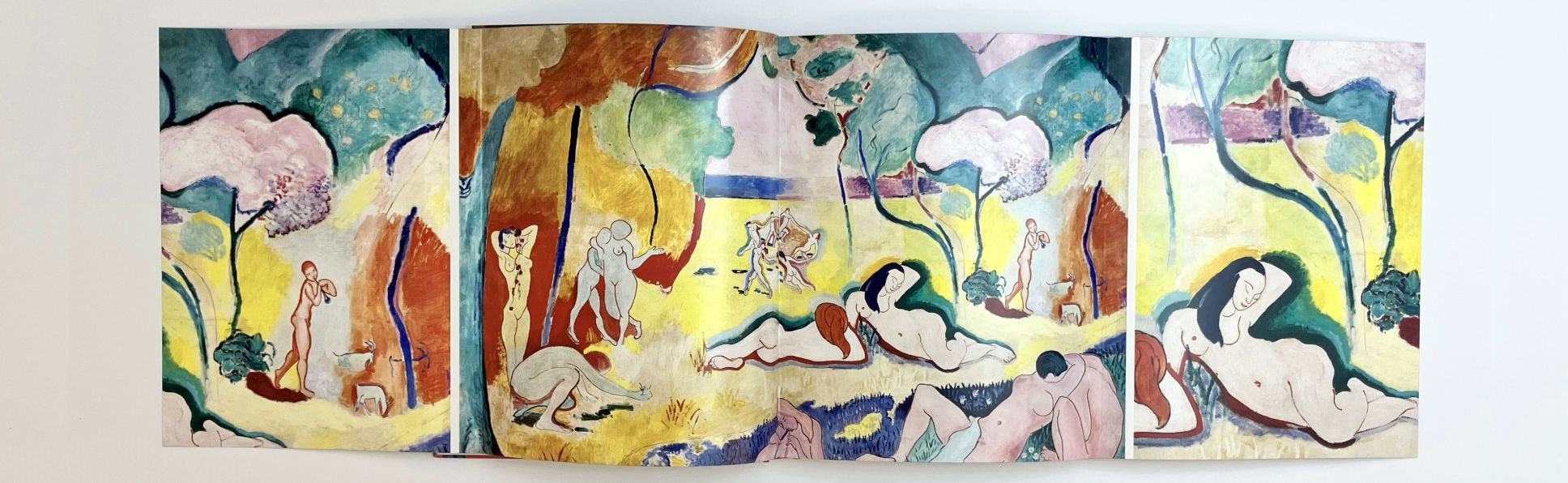 Matisse: The Bigger Picture