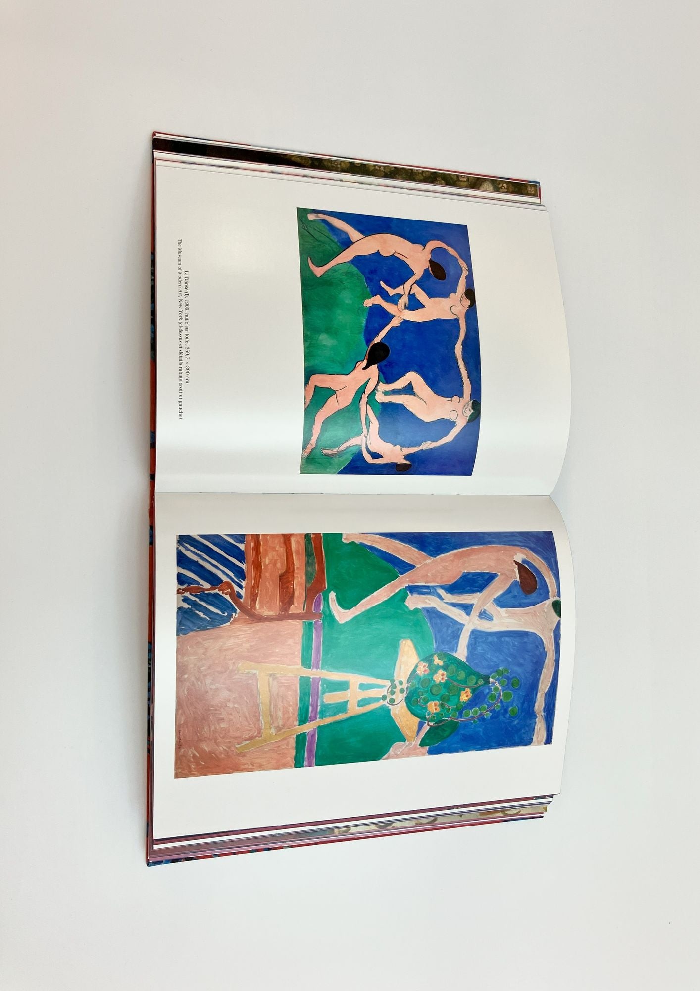 Matisse: The Bigger Picture