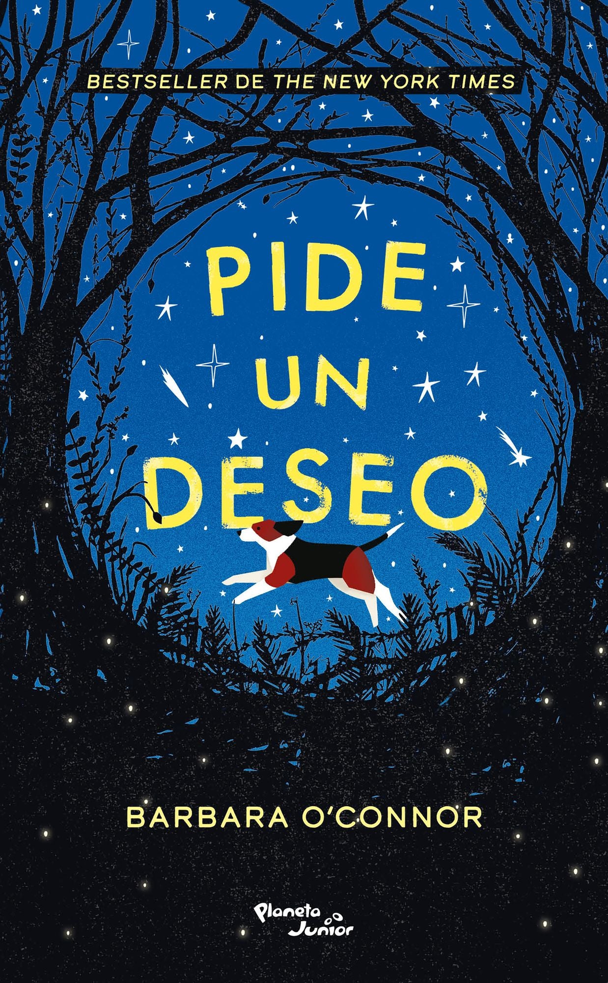 Pide un deseo / Wish