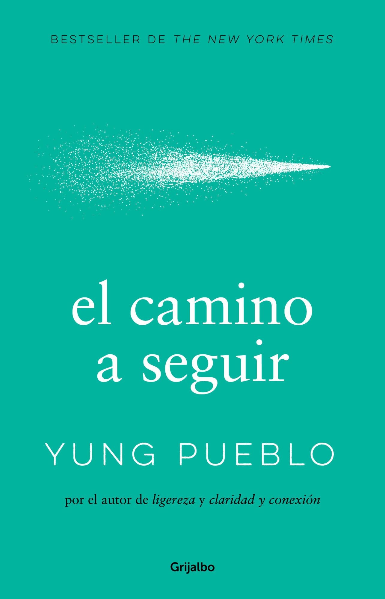El camino a seguir / The Way Forward