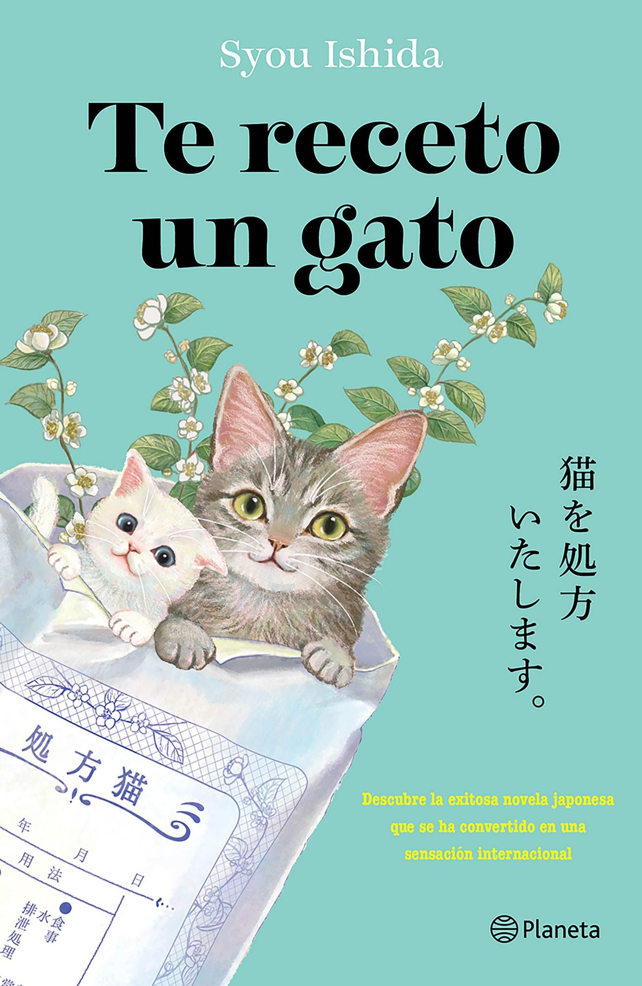Te receto un gato: El bestseller japonés que ha engatusado a lectores en todo el mundo / We'll Prescribe You a Cat