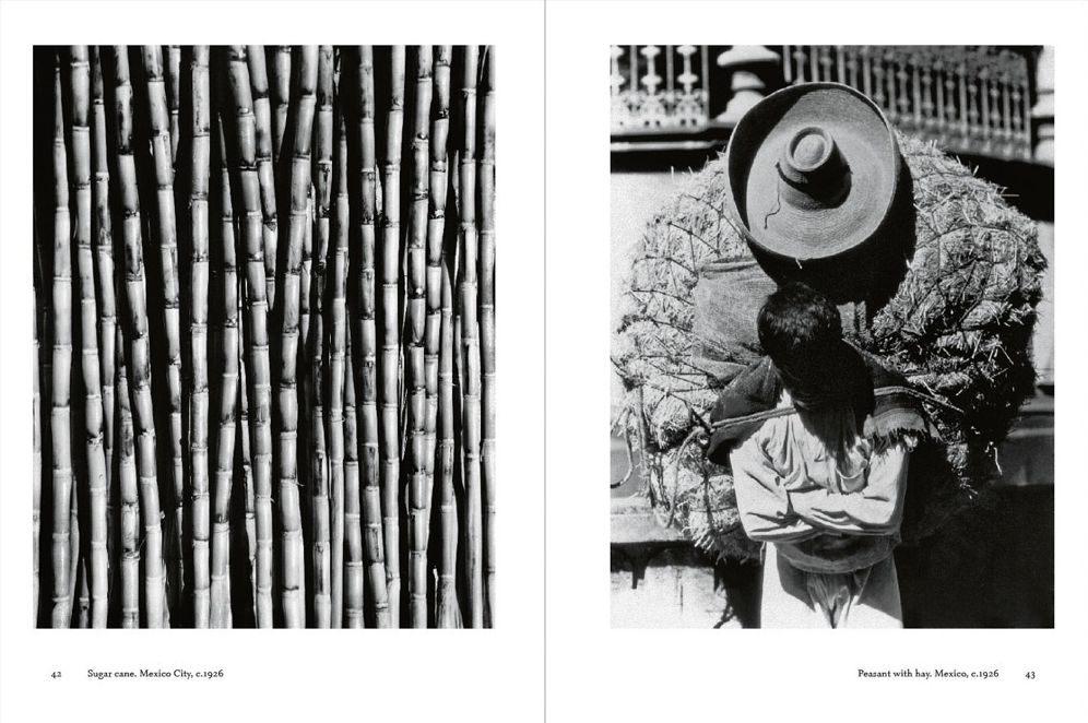 Tina Modotti: La Fábrica Essentials