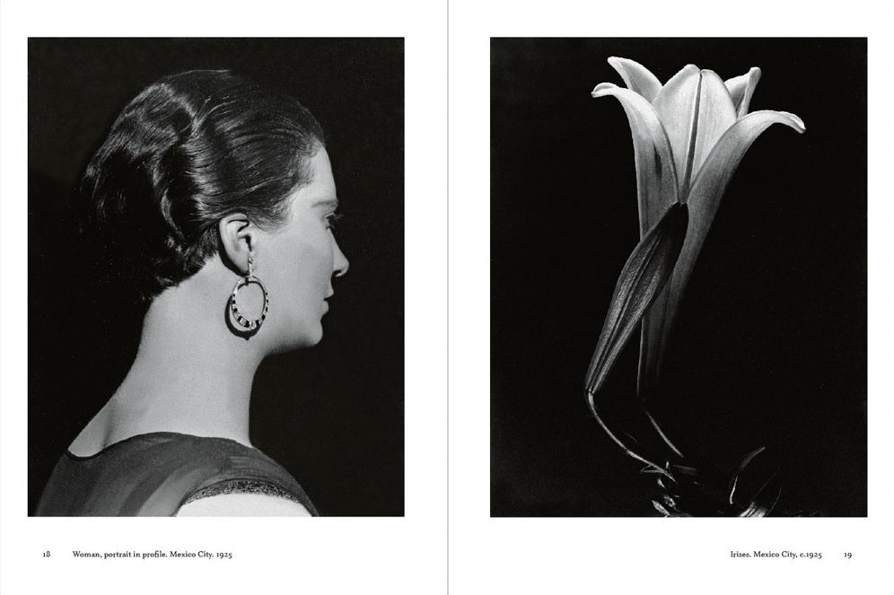 Tina Modotti: La Fábrica Essentials