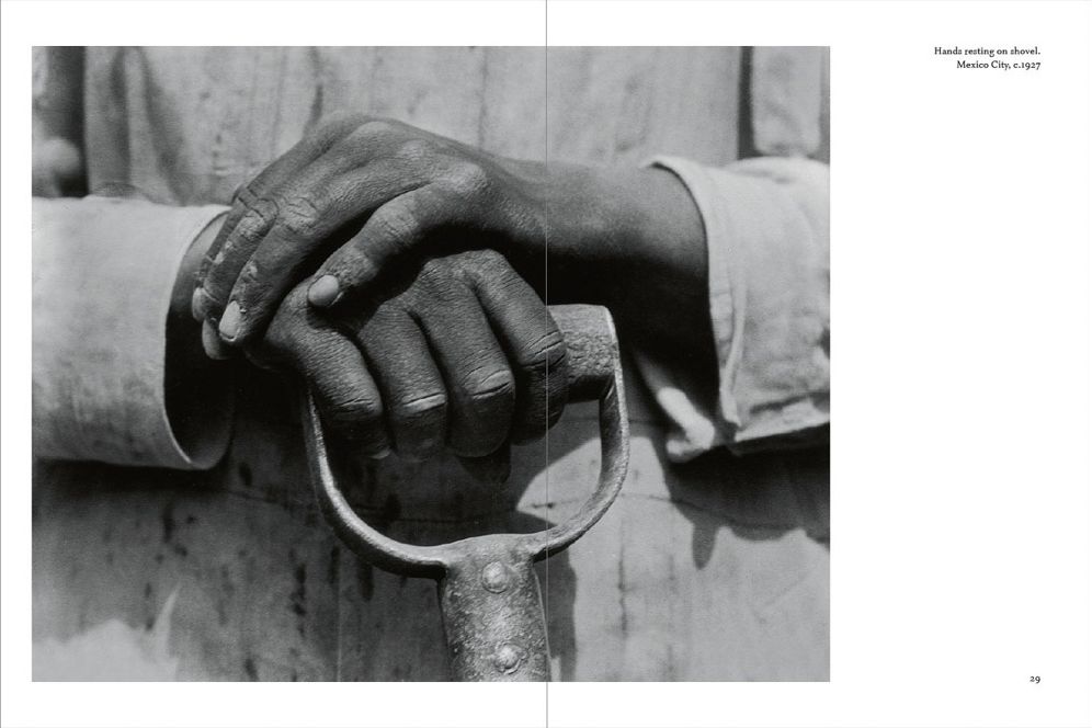 Tina Modotti: La Fábrica Essentials