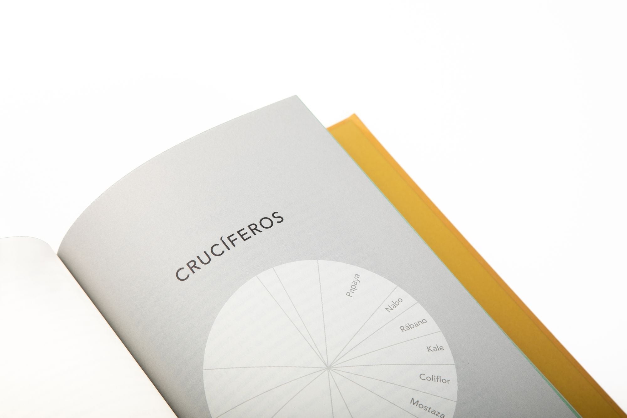 La enciclopedia de los sabores Vol 2: Más combinaciones con vegetales, nuevas recetas y deliciosas ideas / The Flavor Thesaurus: More Flavors
