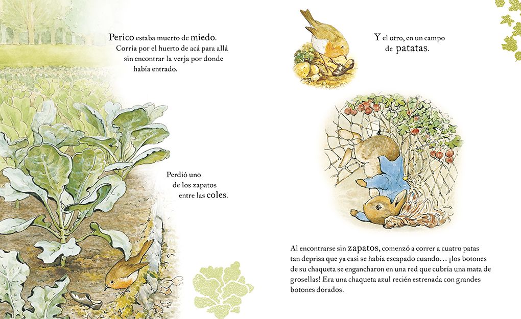 El cuento de Perico el Conejo (Ed. 120 aniversario) / The Tale of Peter Rabbit (120th Anniversary Edition)
