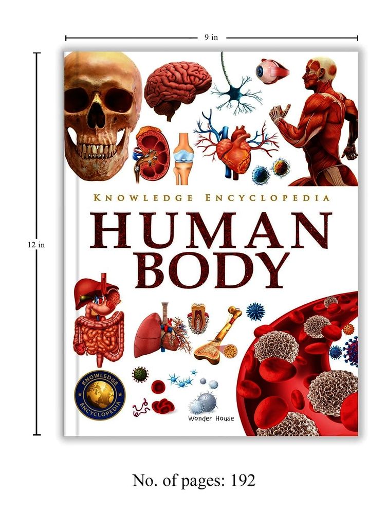 Knowledge Encyclopedia Human Body