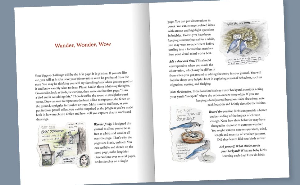 The Backyard Bird Journal: Pages for Writing, Sketching, and Living Deeply in Nature