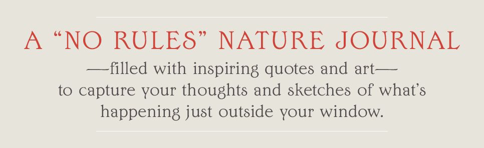 The Backyard Bird Journal: Pages for Writing, Sketching, and Living Deeply in Nature