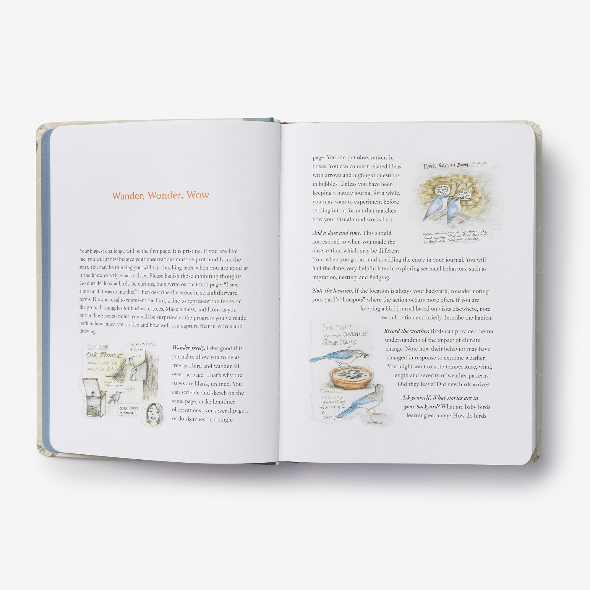 The Backyard Bird Journal: Pages for Writing, Sketching, and Living Deeply in Nature