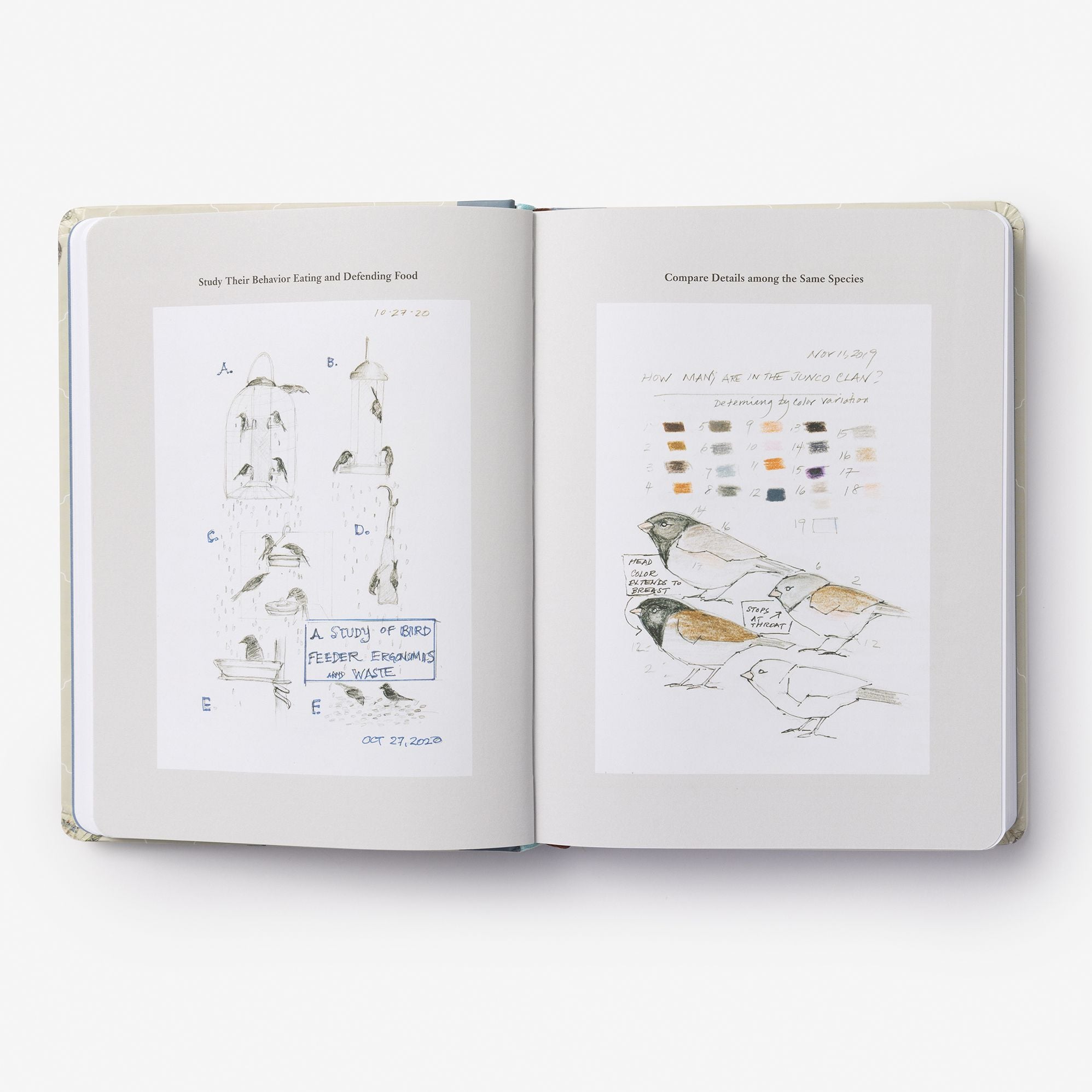 The Backyard Bird Journal: Pages for Writing, Sketching, and Living Deeply in Nature