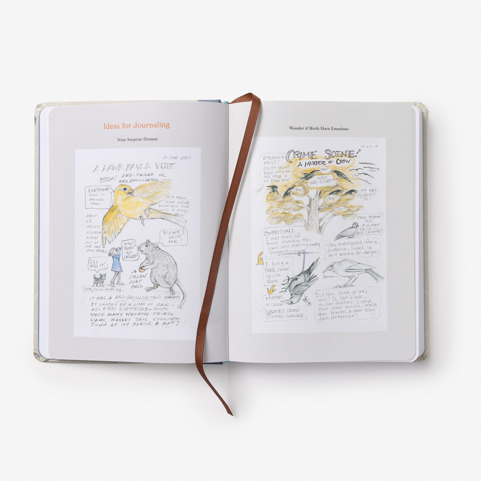 The Backyard Bird Journal: Pages for Writing, Sketching, and Living Deeply in Nature