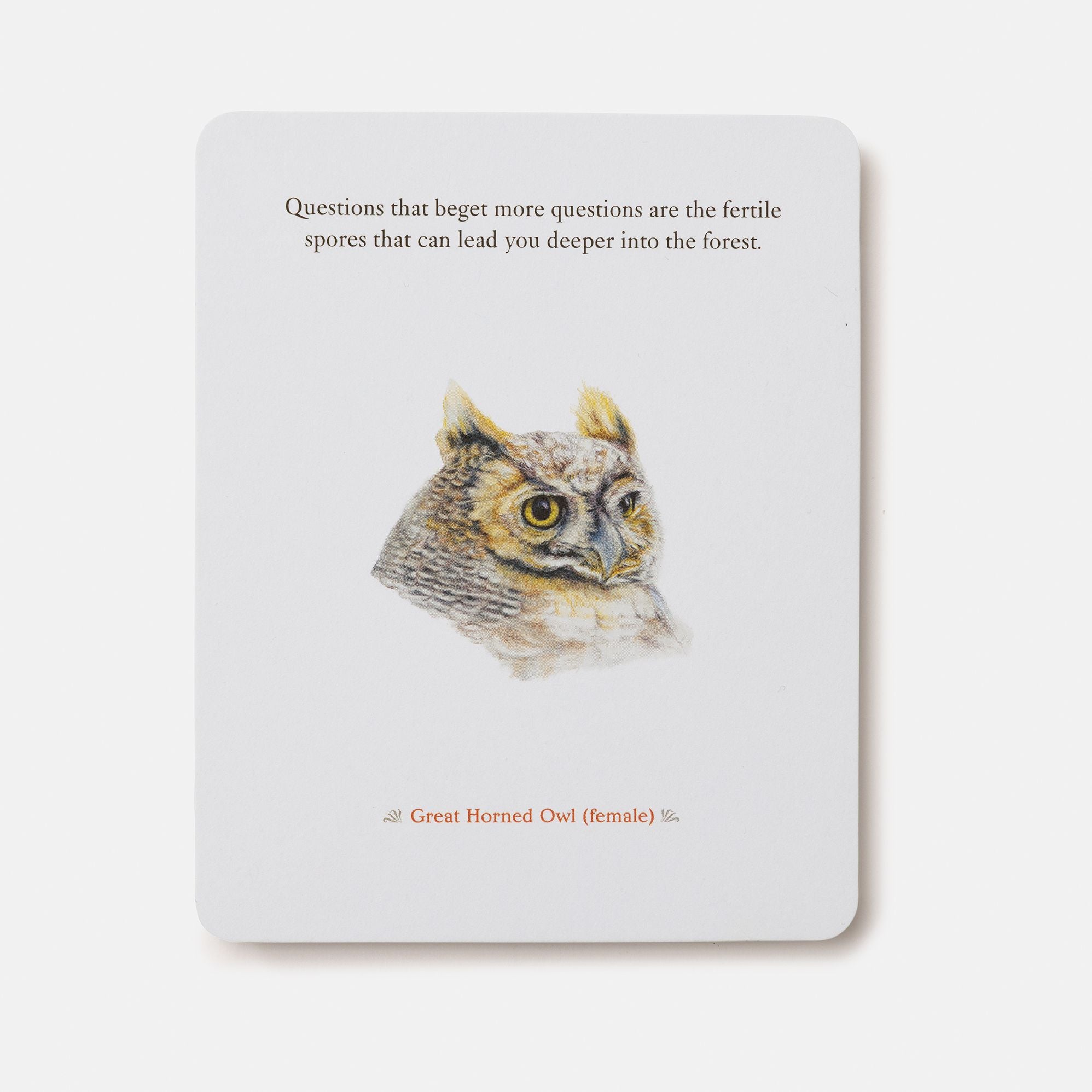 The Backyard Bird Deck: Affirmations and Reflections for Living Deeply in Nature: Affirmation Cards