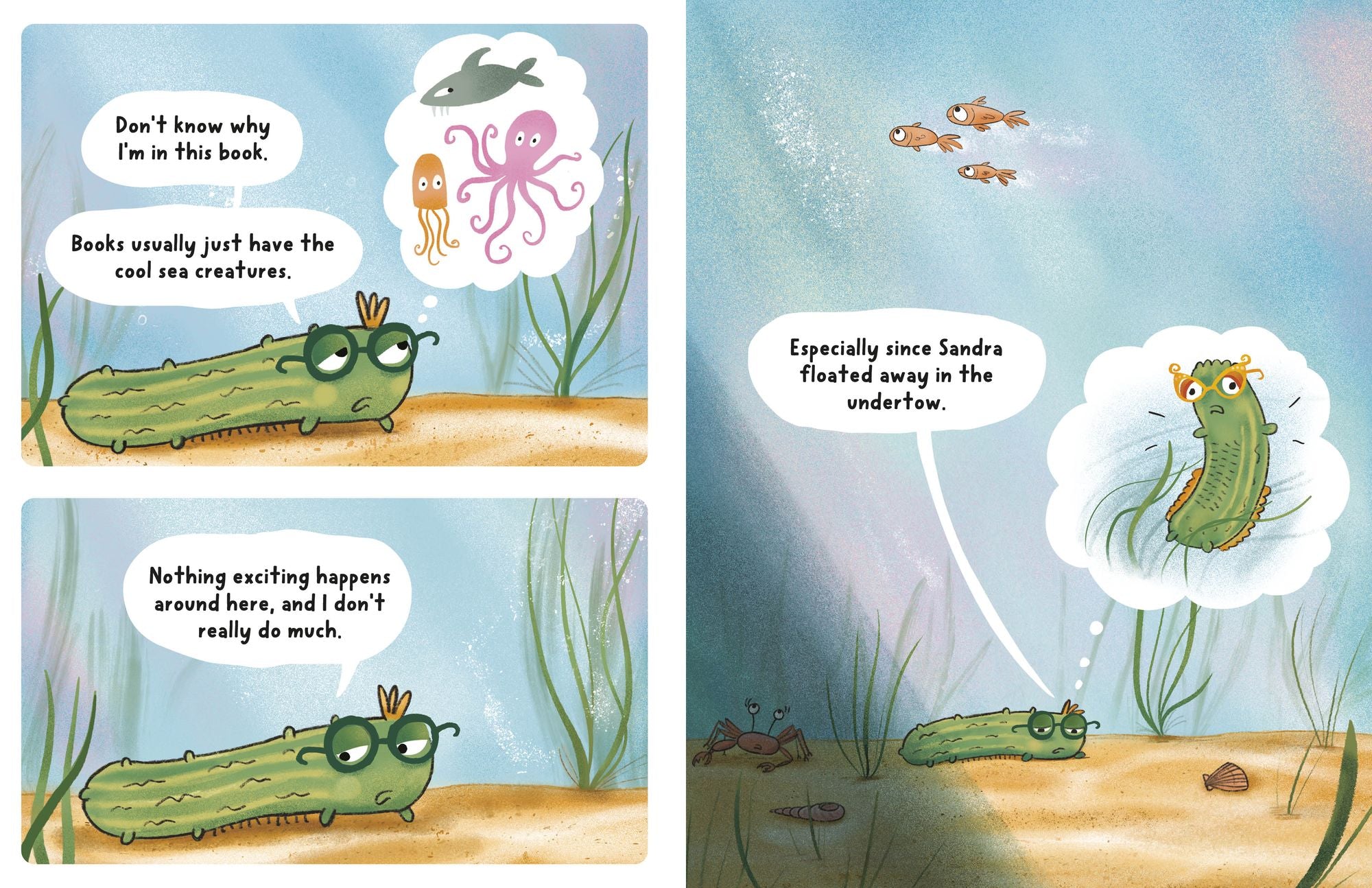 Neil, the Amazing Sea Cucumber