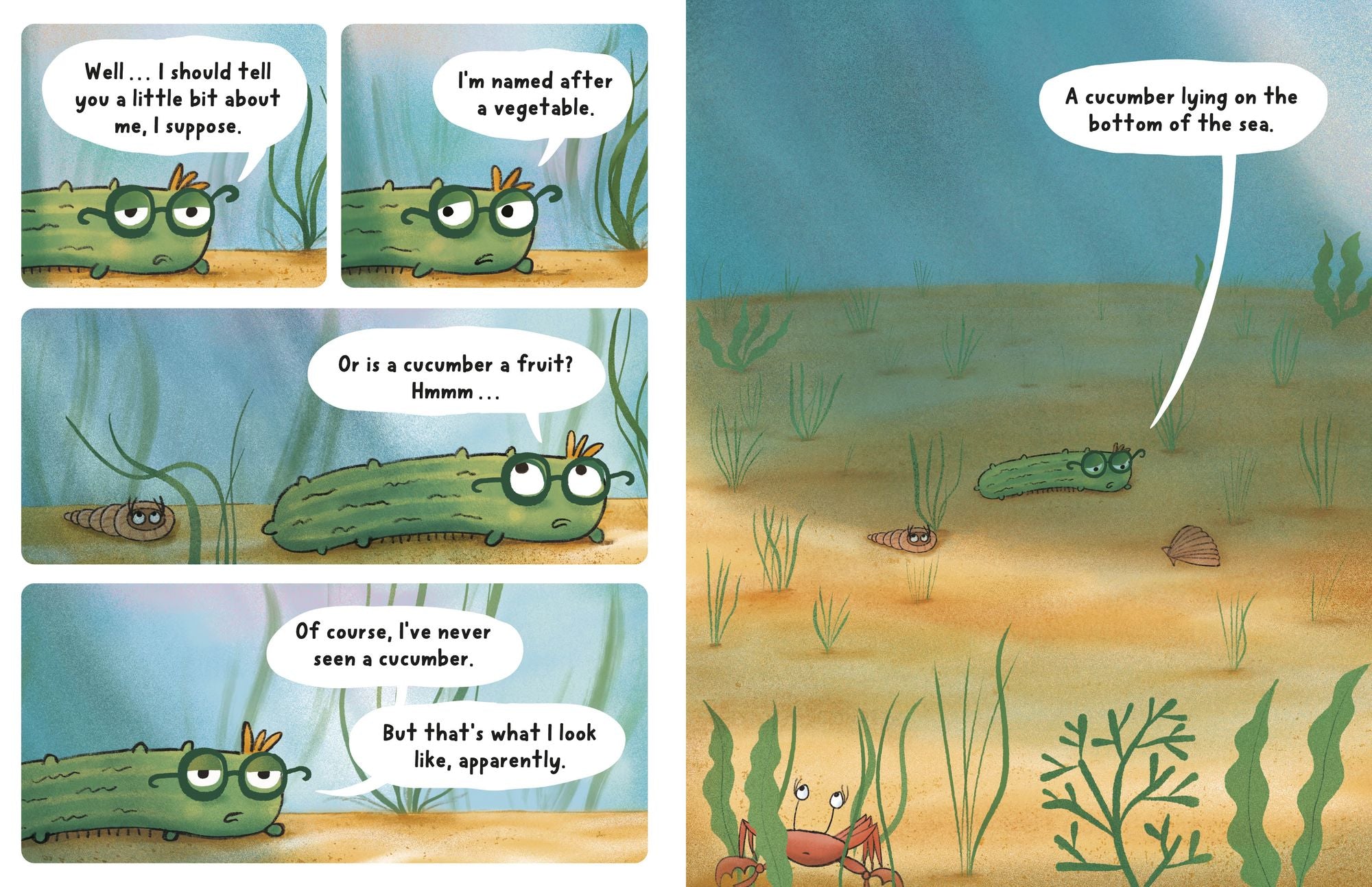 Neil, the Amazing Sea Cucumber