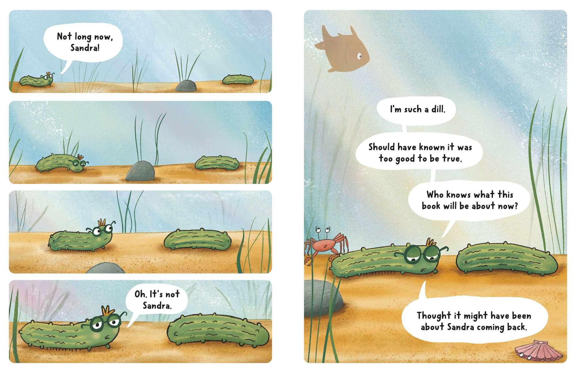 Neil, the Amazing Sea Cucumber