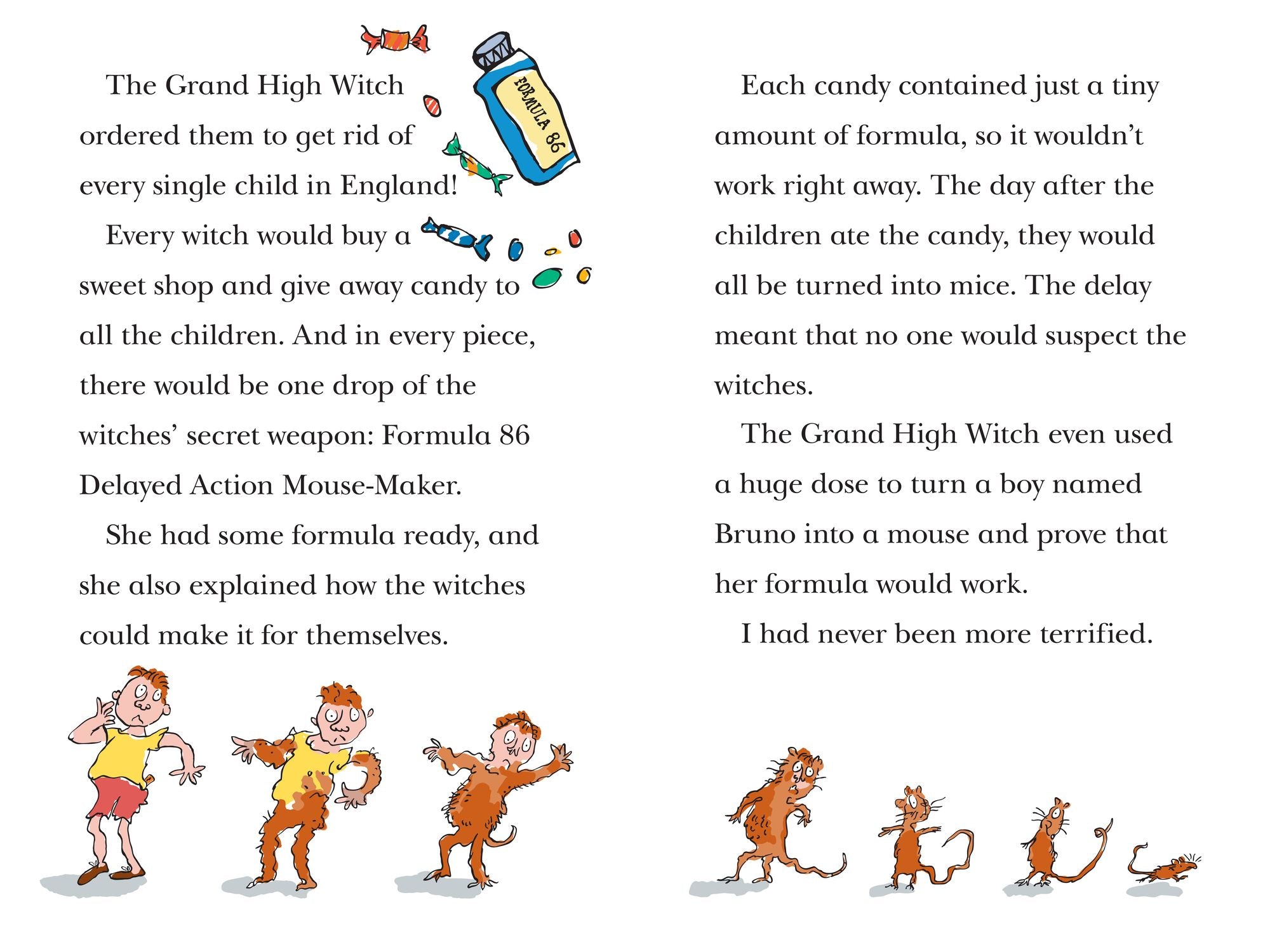 The Witches: The Mouse and the Mouse-Maker