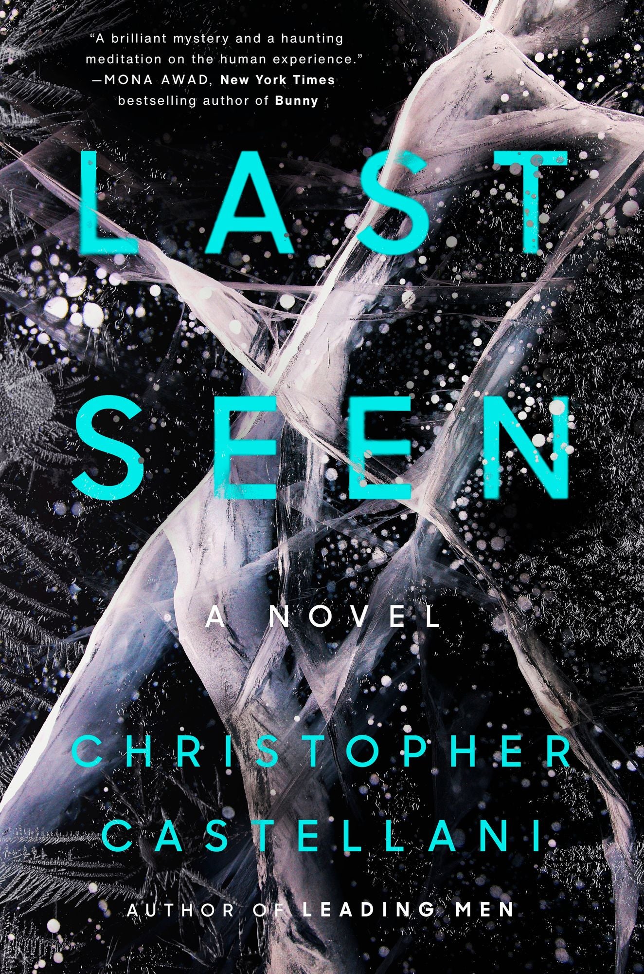 Last Seen: A Novel
