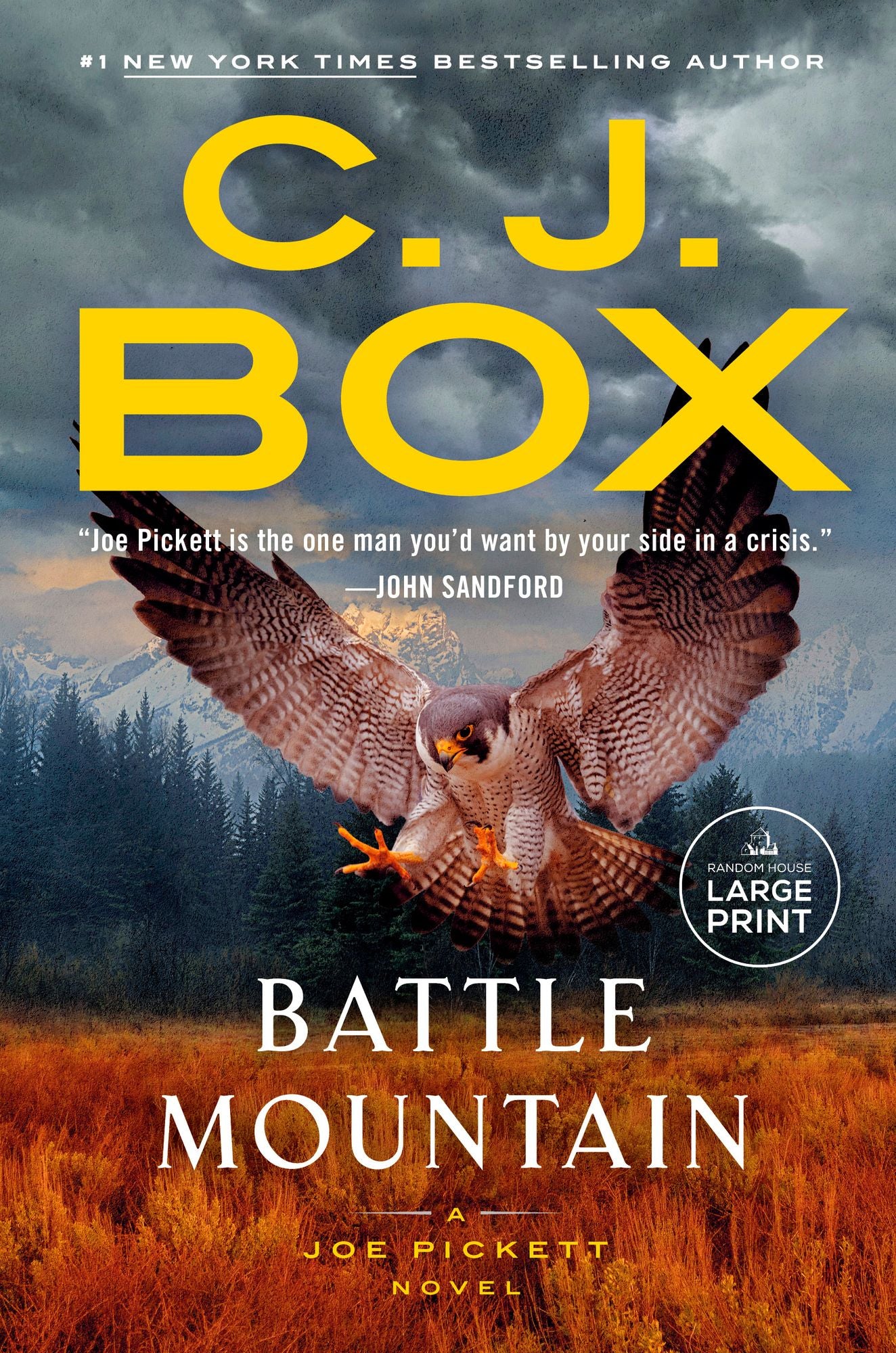 Battle Mountain (Joe Pickett Series #25)